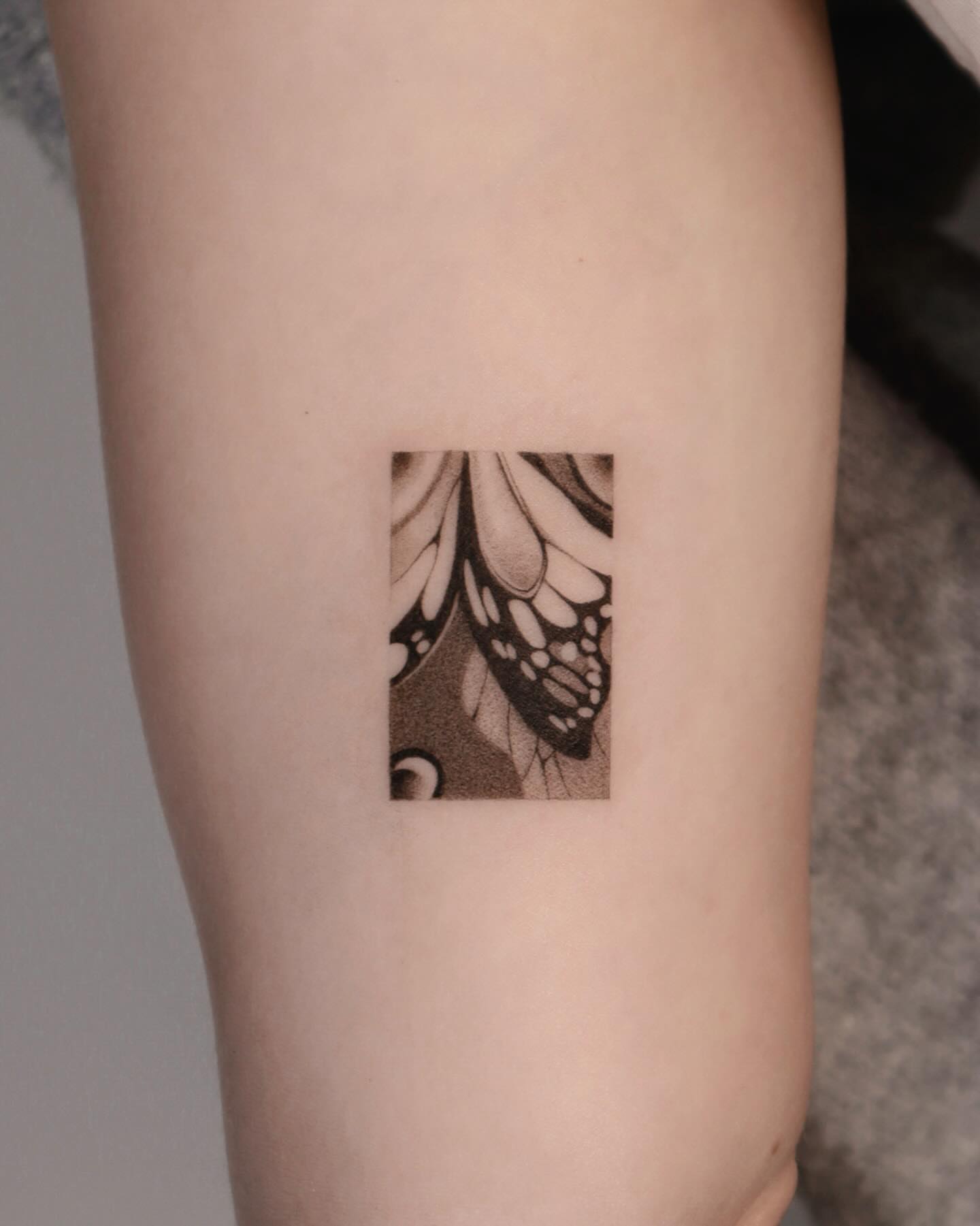 Butterfly dotwork tattoo on the forearm by River, New York, New York