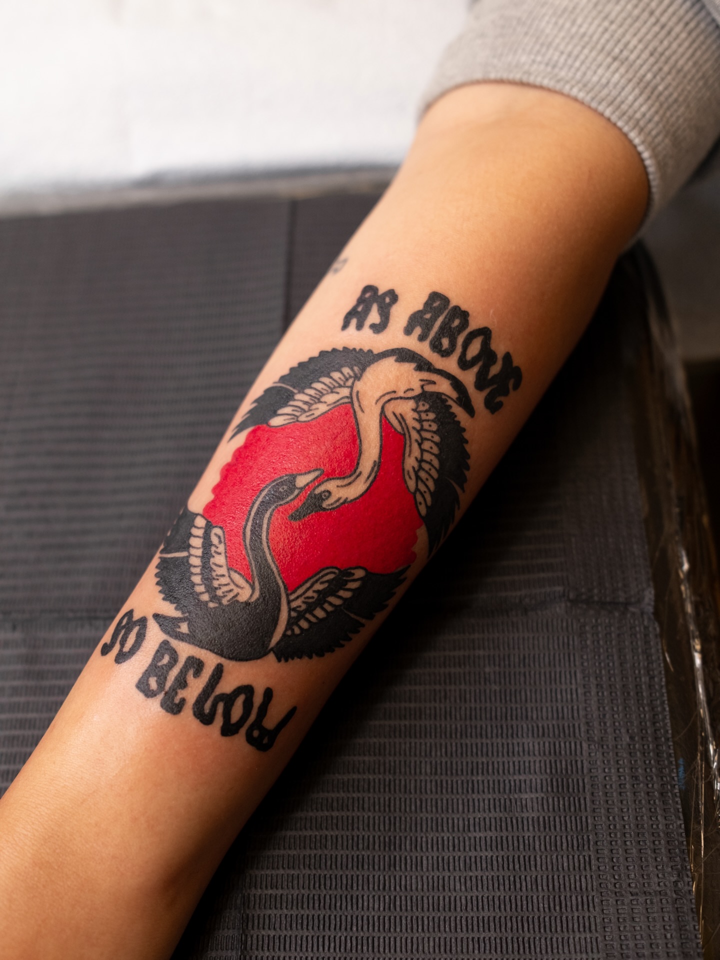 Swan and snake American traditional tattoo on the forearm by Neto Velasco - Sad Cat Tattoo, Austin, Texas