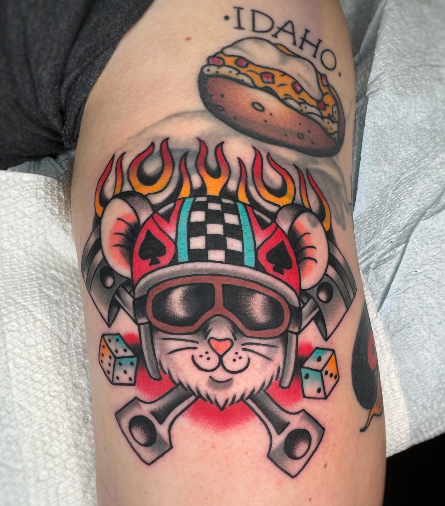 Cat with helmet American traditional tattoo on the forearm by Cori James Tattoo Artist