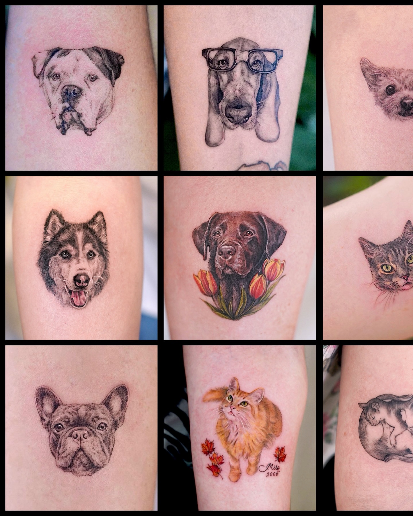 Pet portraits realism tattoo on the forearm by Lily, Los Angeles, California