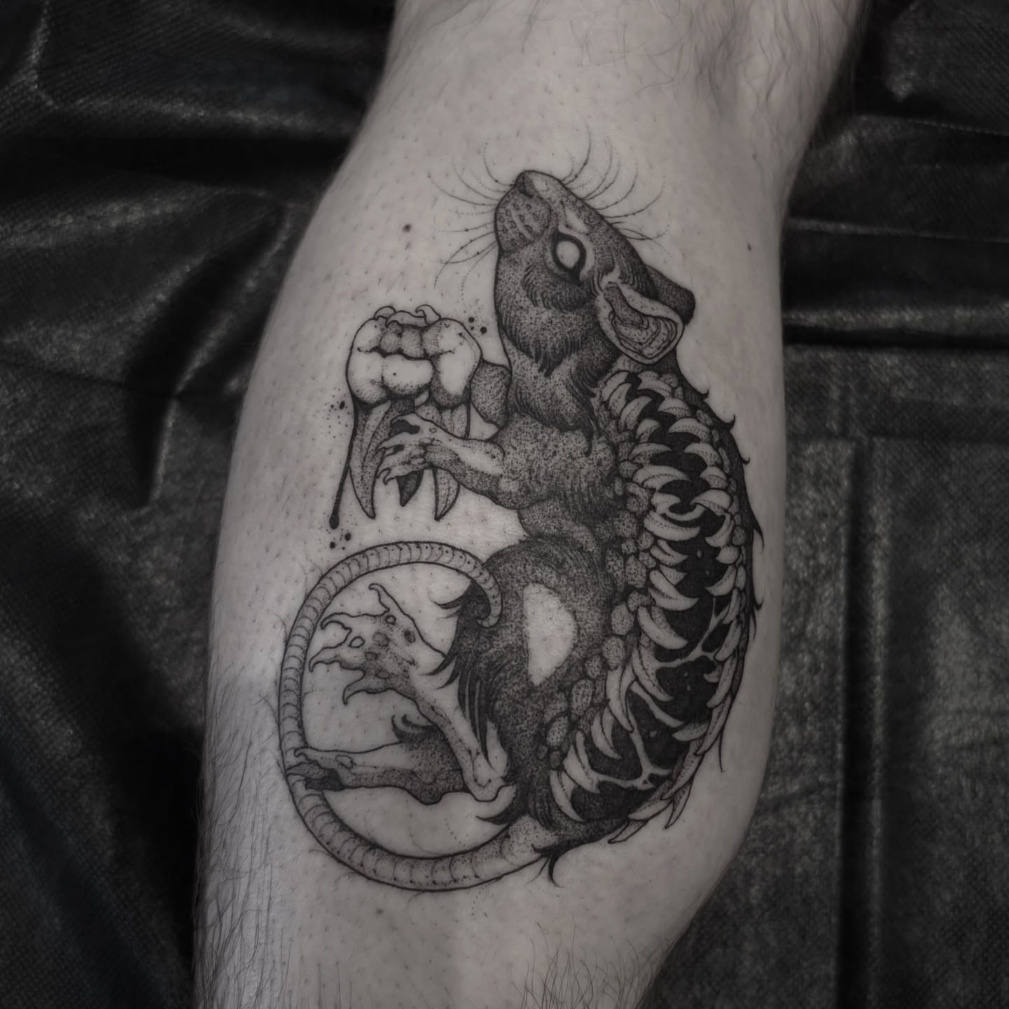Rat and snake dotwork tattoo on the forearm by Becci Chelicerata