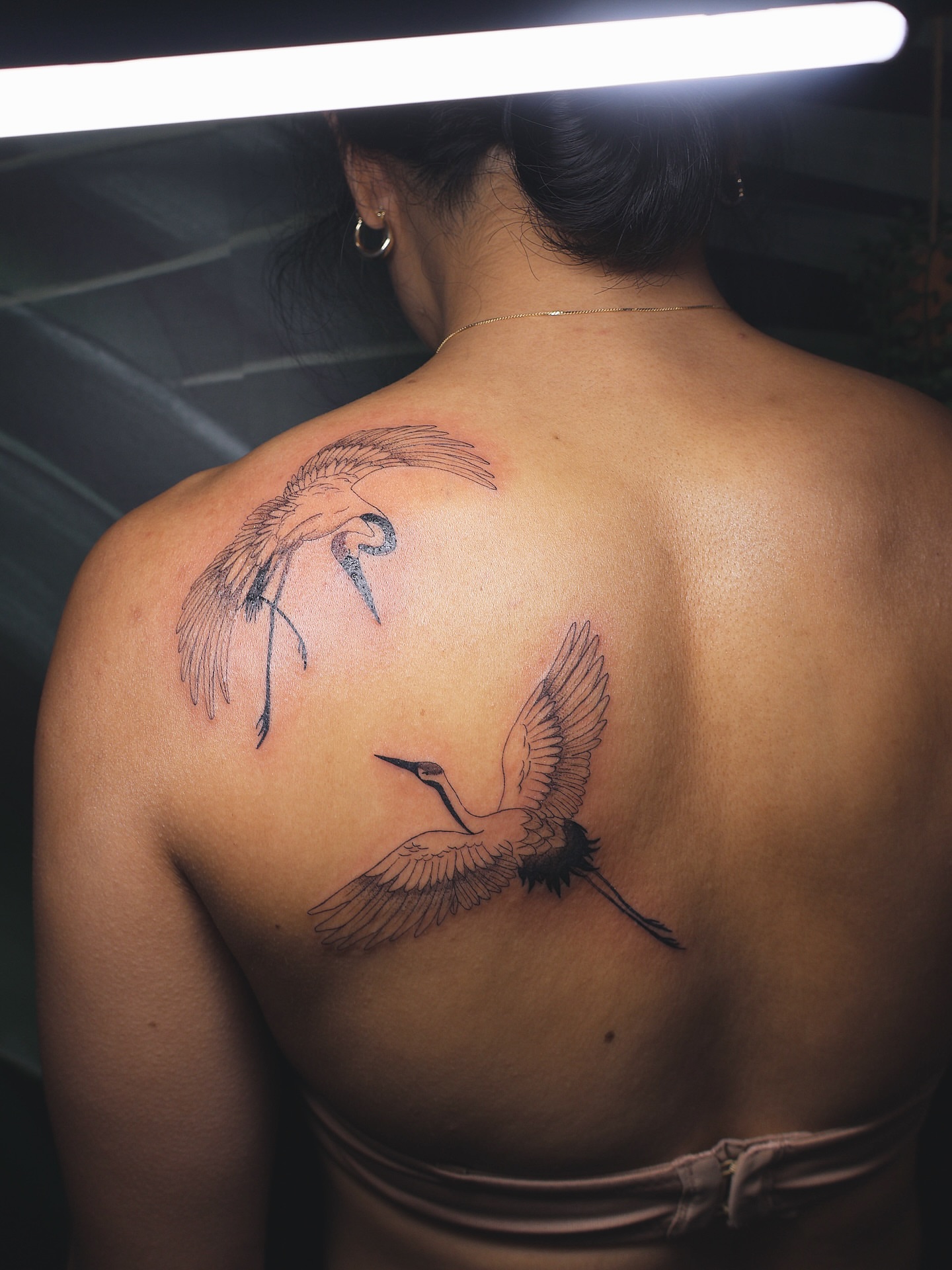 Cranes black and grey tattoo on the back by 𝑭𝒊𝒏𝒆 𝑳𝒊𝒏𝒆 𝑻𝒂𝒕𝒕𝒐𝒐’𝒔