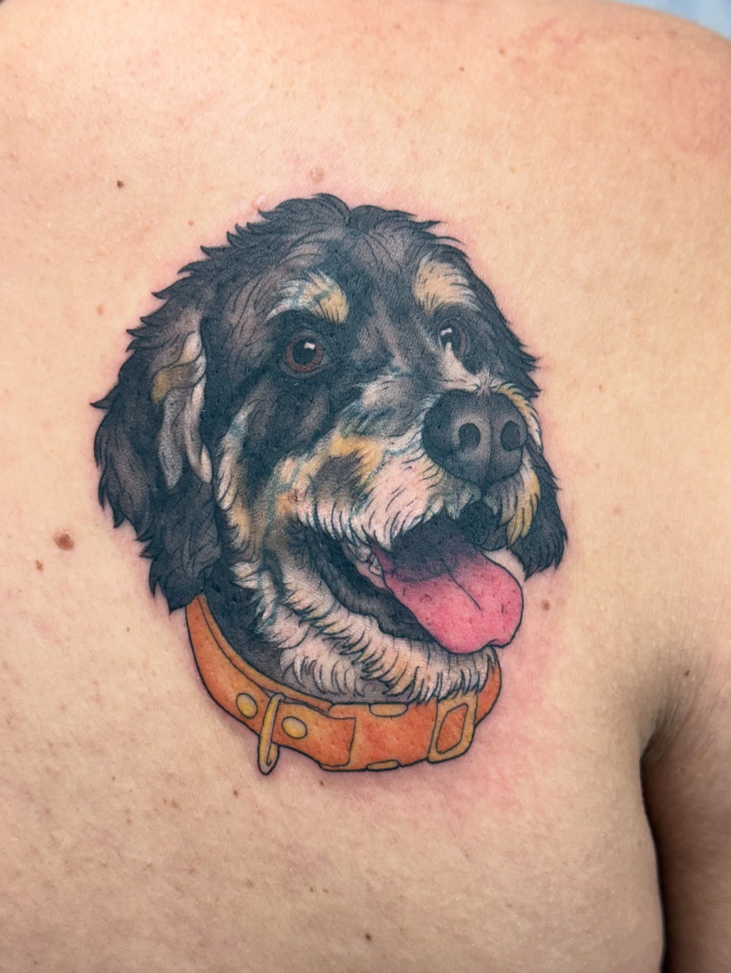 Dog realism tattoo on the back by Sania Marquez