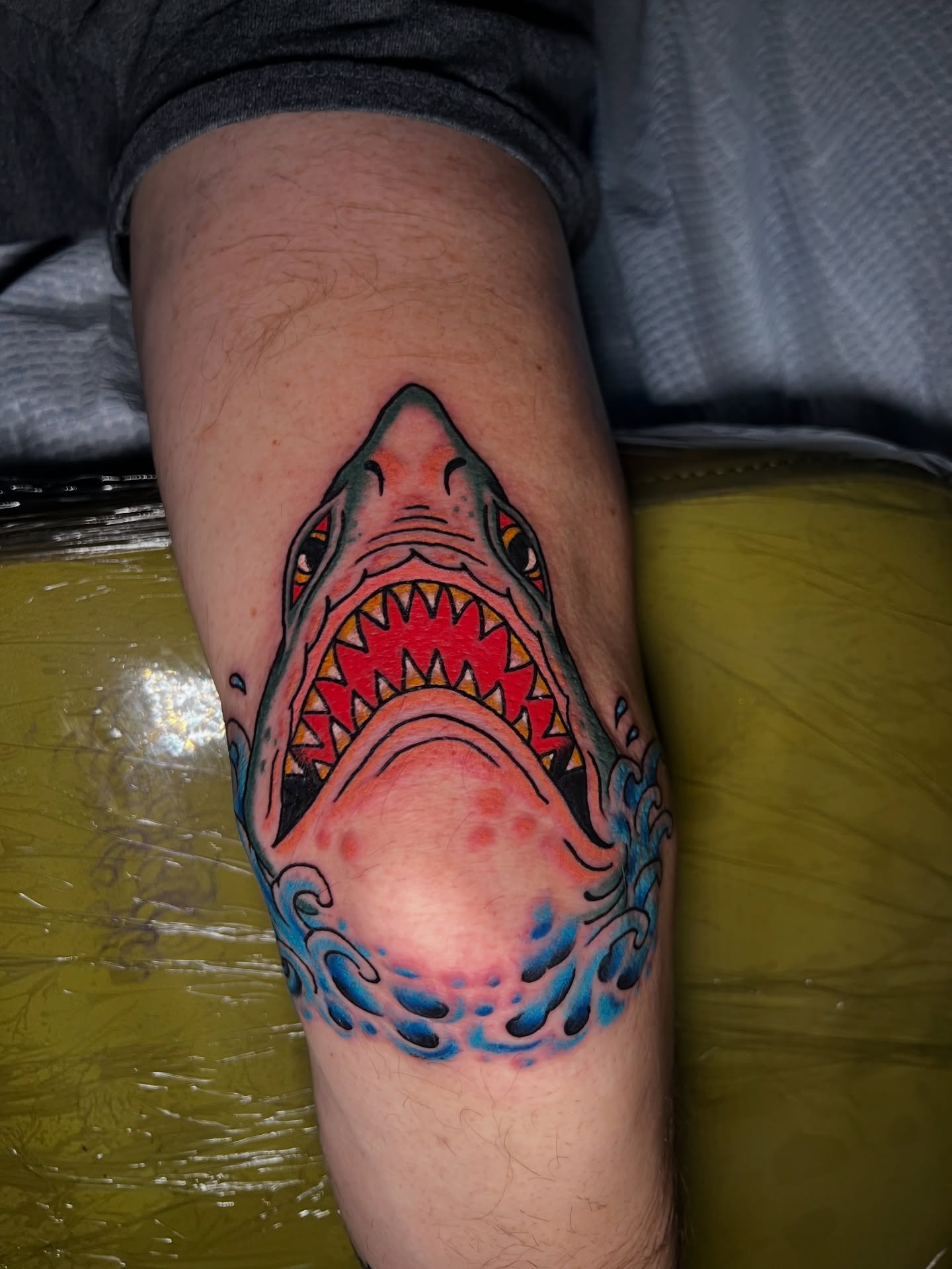 Shark American traditional tattoo on the leg by Savannah Brayton, Bethlehem, Pennsylvania