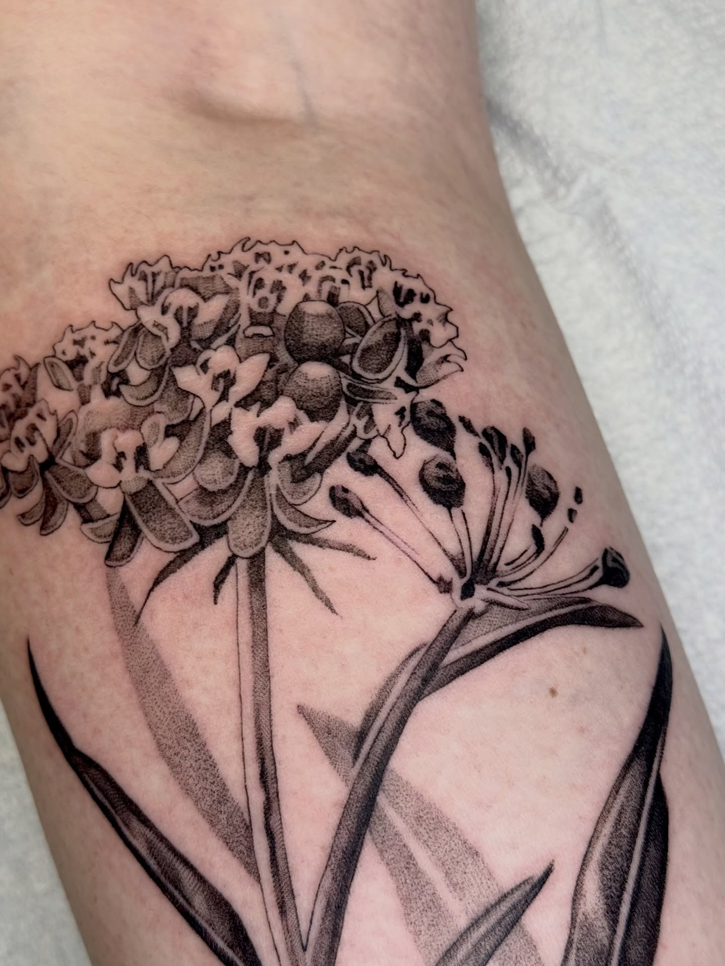 Tattoo by @jesskuesperttattoo β black_and_grey