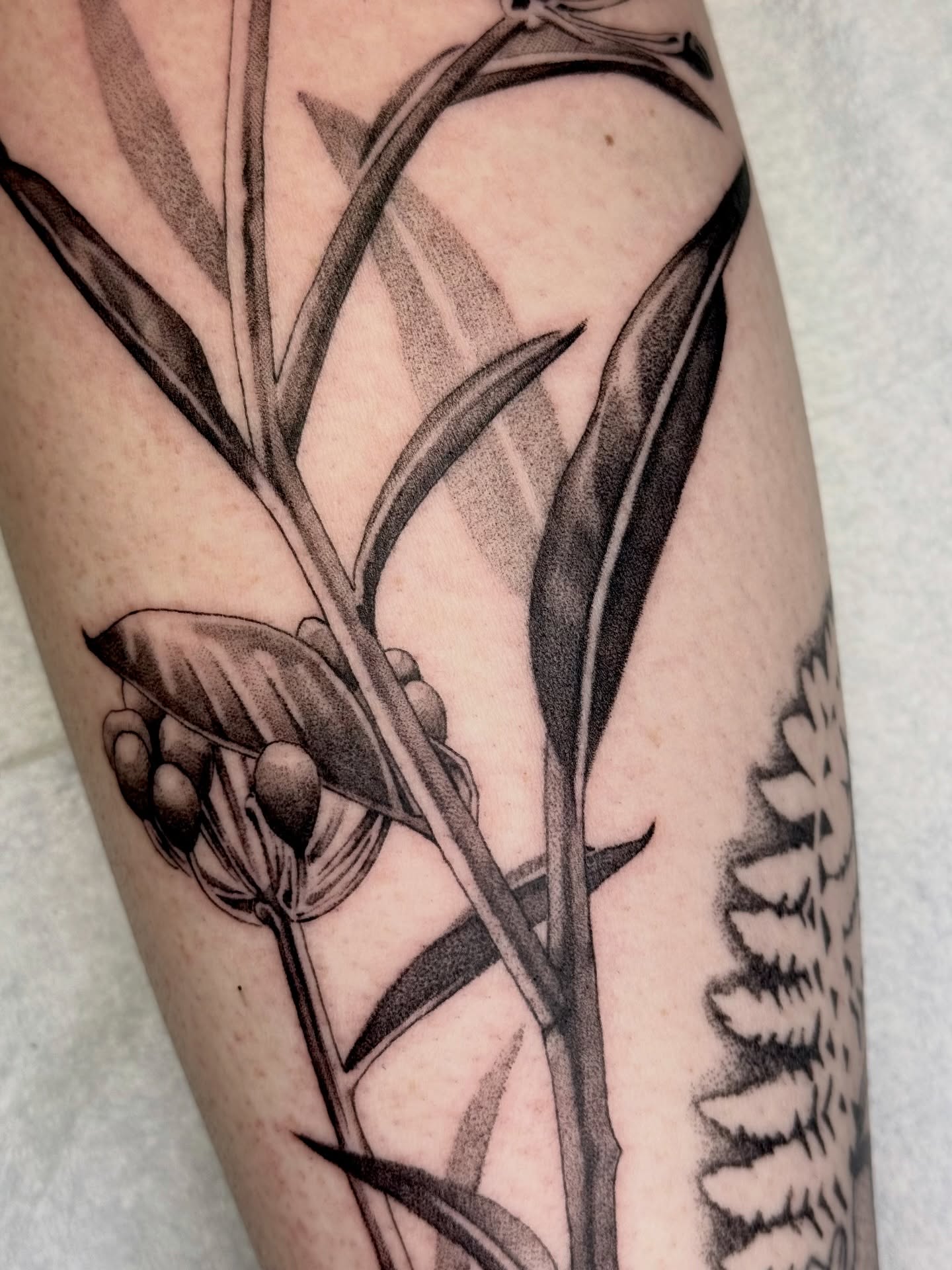 Tattoo by @jesskuesperttattoo β black_and_grey
