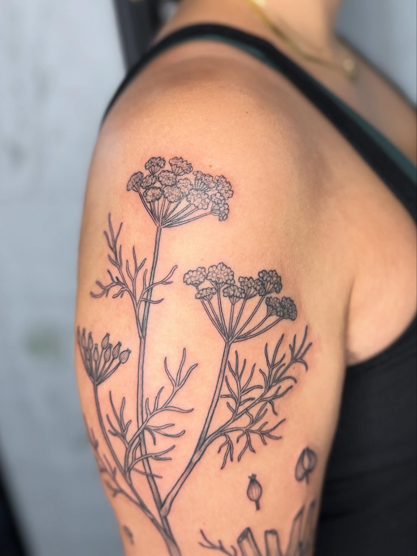 Dill plant black and grey tattoo on the shoulder by Noelle Adrienne Tattoos