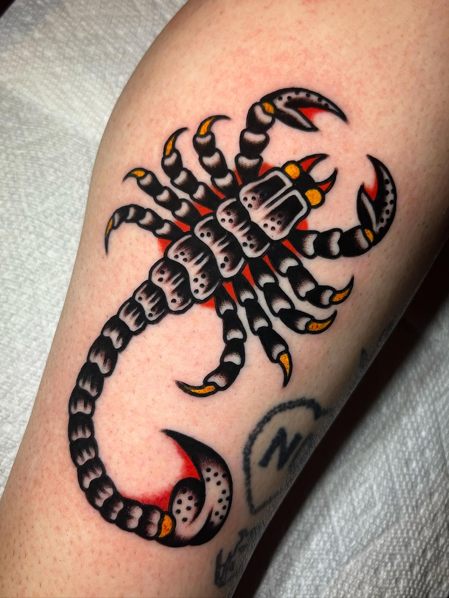 Scorpion American traditional tattoo on the forearm by Jake LiCausi