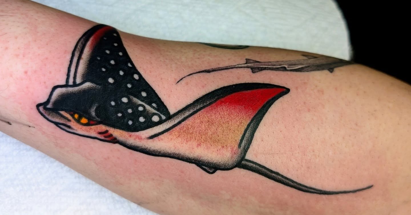 Ray American traditional tattoo on the forearm by Erik O'Steen, Medford, Massachusetts