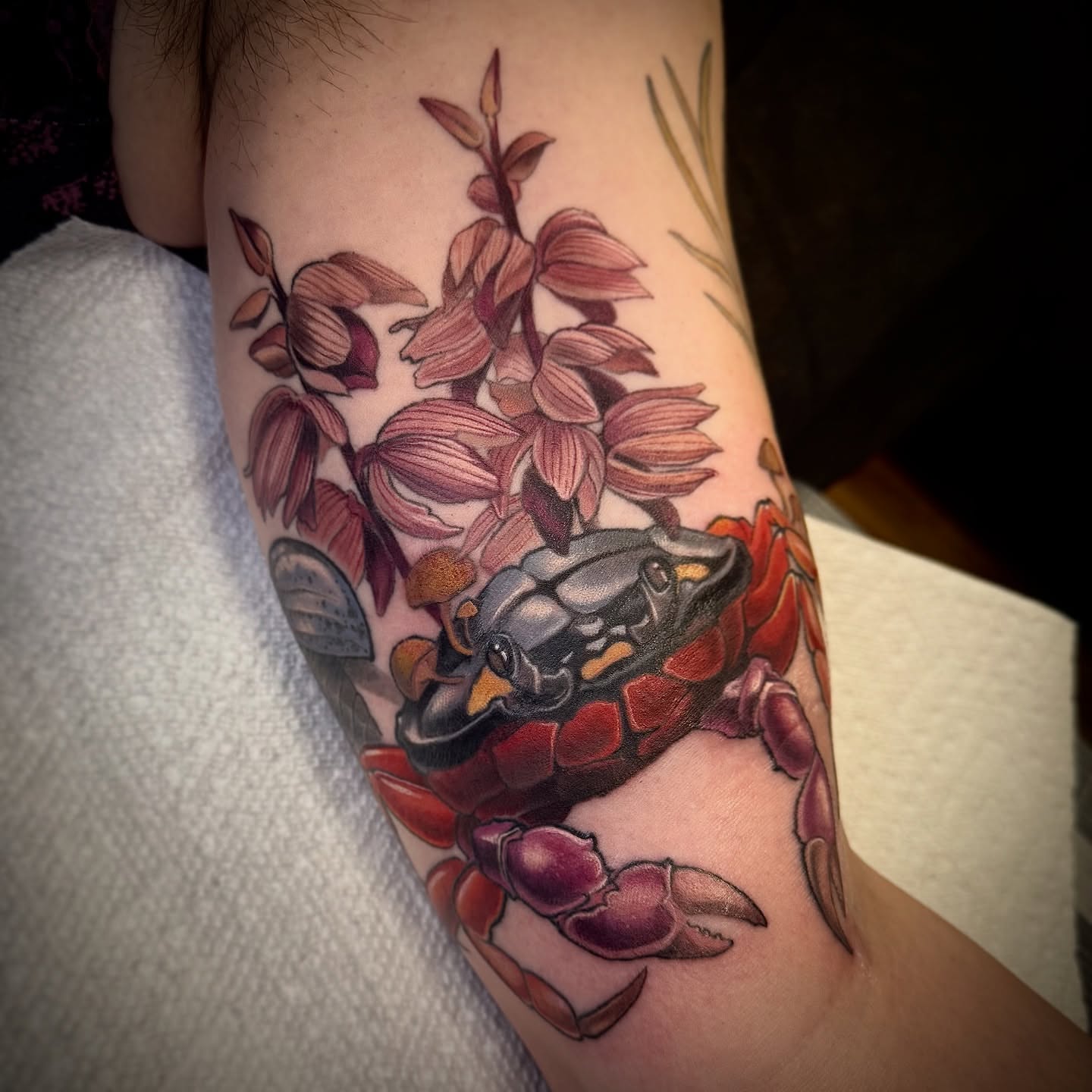 Tattoo by Jessica Brown, Salem, Massachusetts