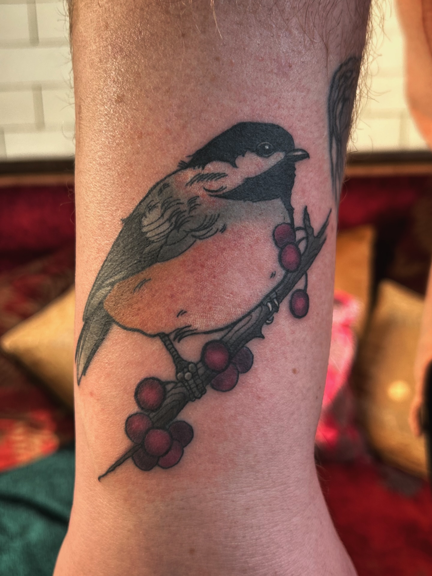 Bird and berries American traditional tattoo on the forearm by ꧁𝙺𝚊𝚛𝚒𝚗𝚊꧂, Grinnell, Iowa