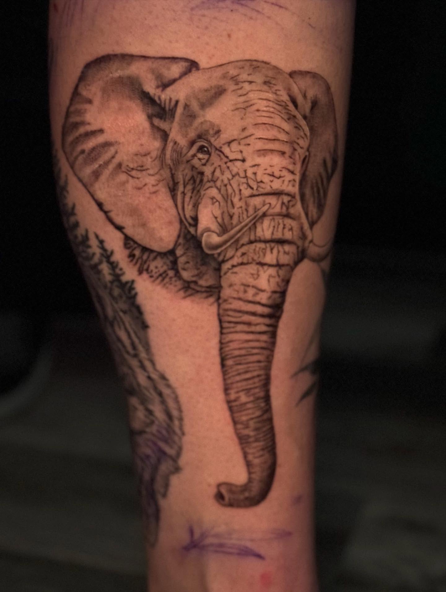 Elephant realism tattoo on the forearm by Leslea Hipp
