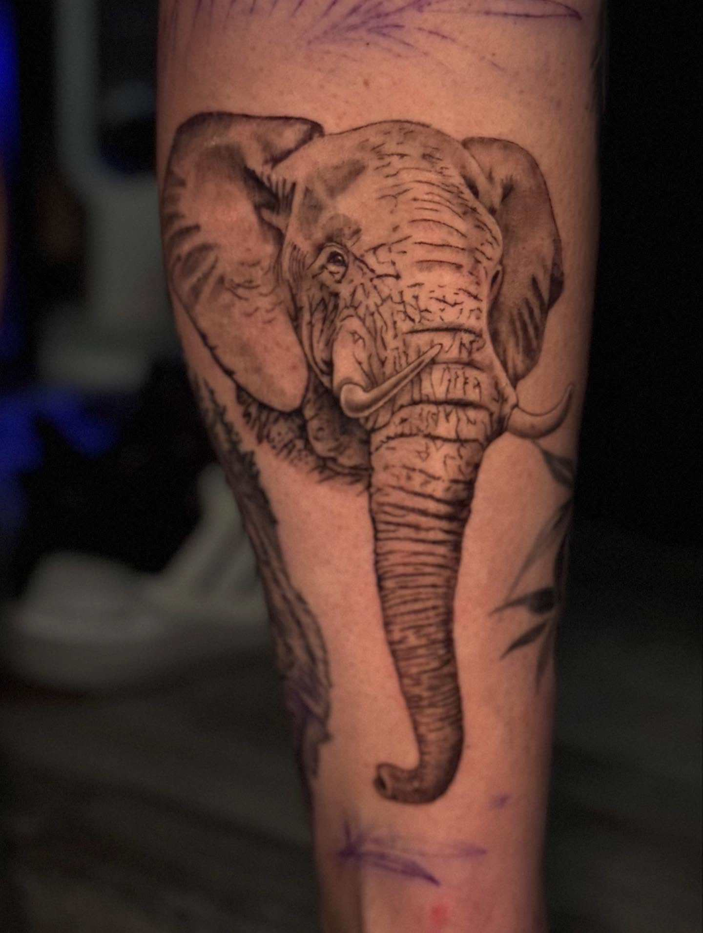 Elephant black and grey tattoo on the forearm by Leslea Hipp