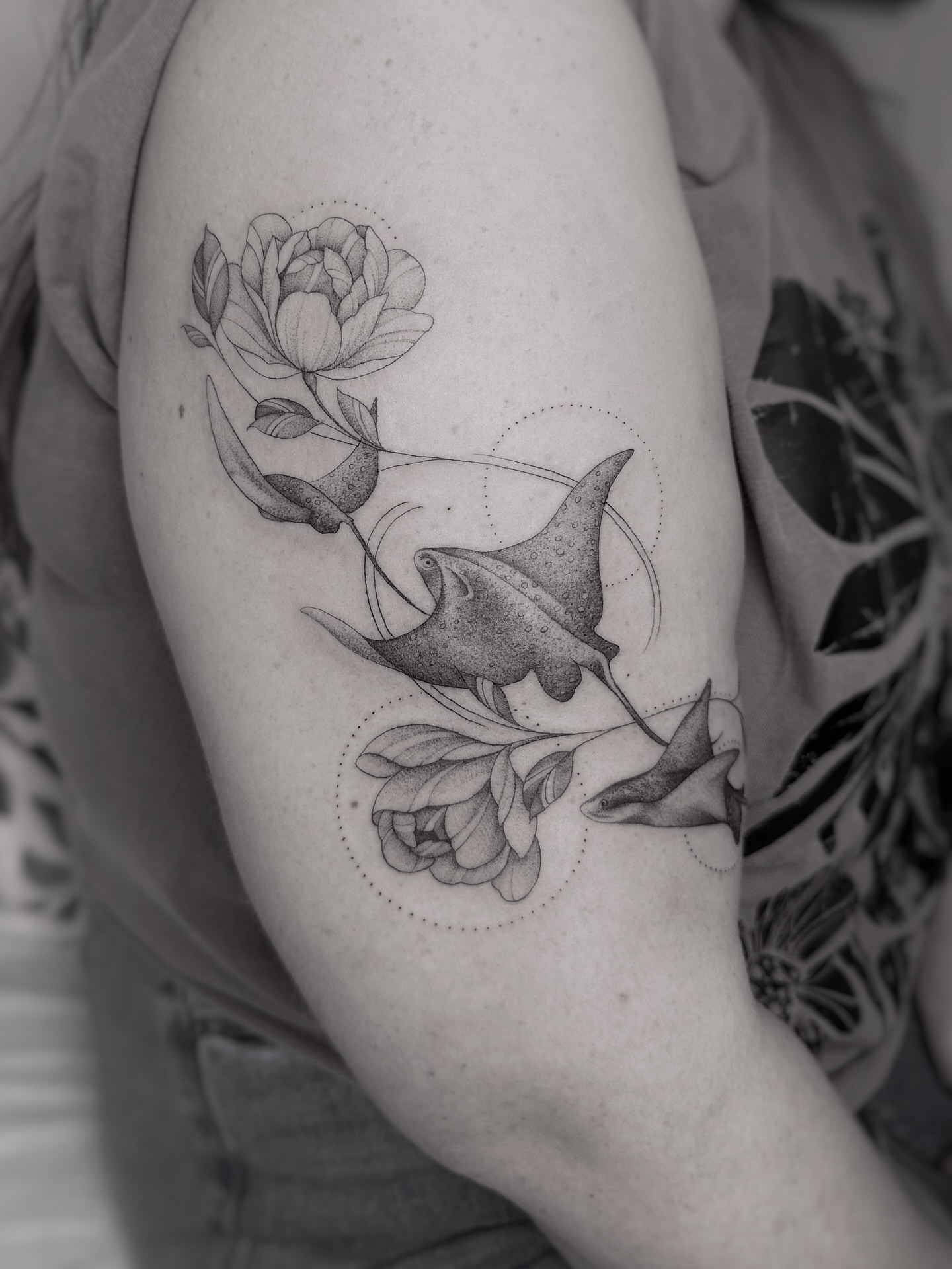 Tattoo by @art.byjaclyn — dotwork, black_and_grey