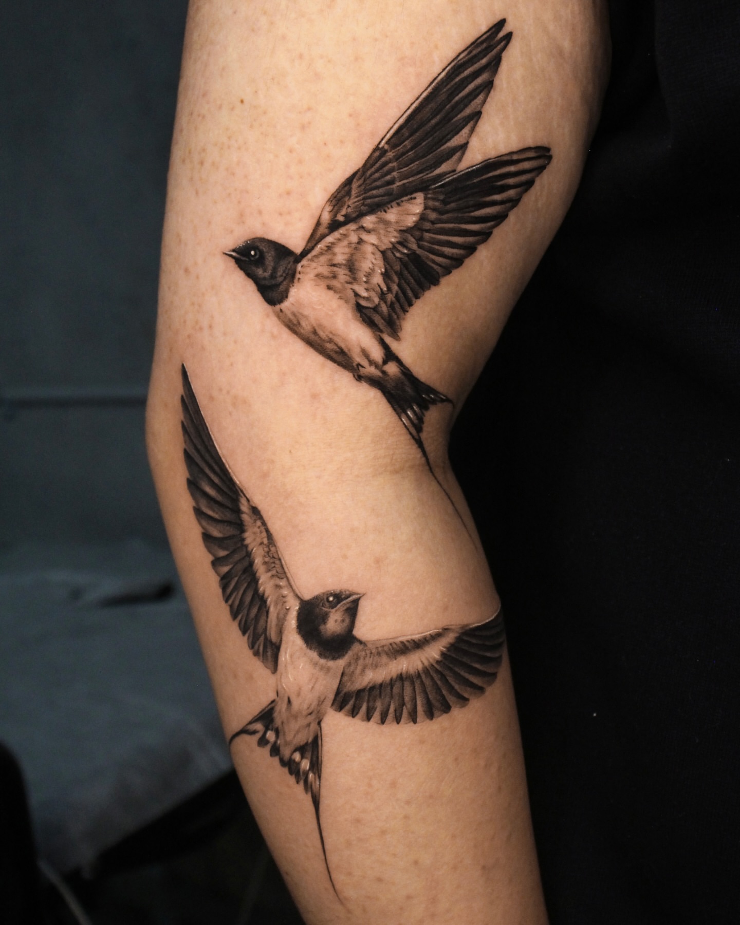 Swallows realism tattoo on the forearm by Tattoo artist EJ (Mireu)