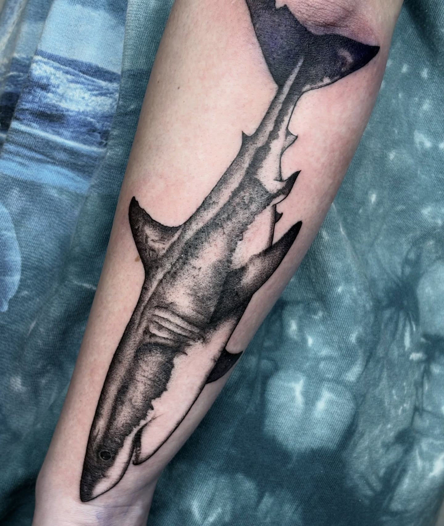 Shark black and grey tattoo on the forearm by Silvia :)