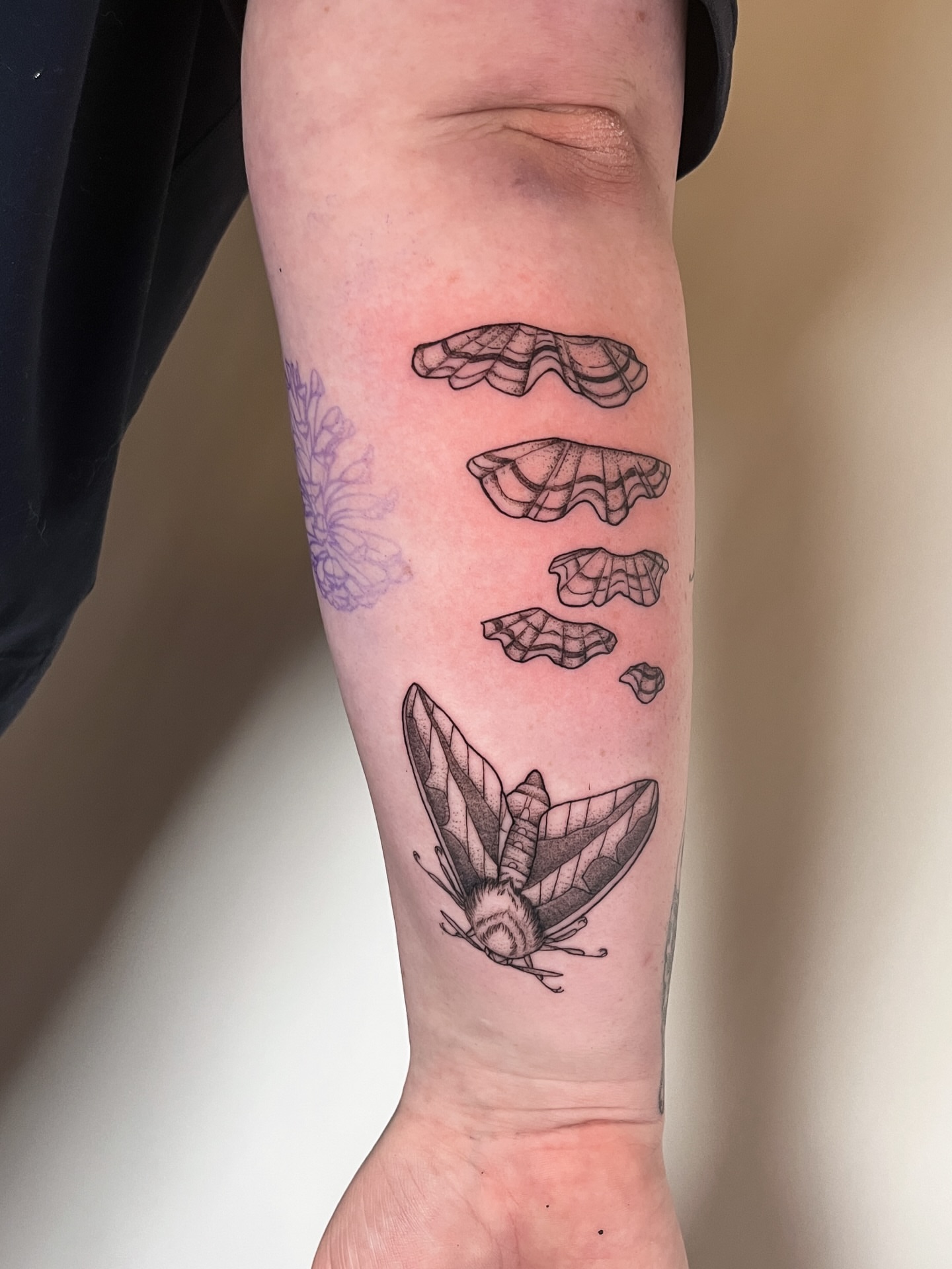 Tattoo by Avi 🌿 Vancouver nature tattoos, Vancouver, British Columbia