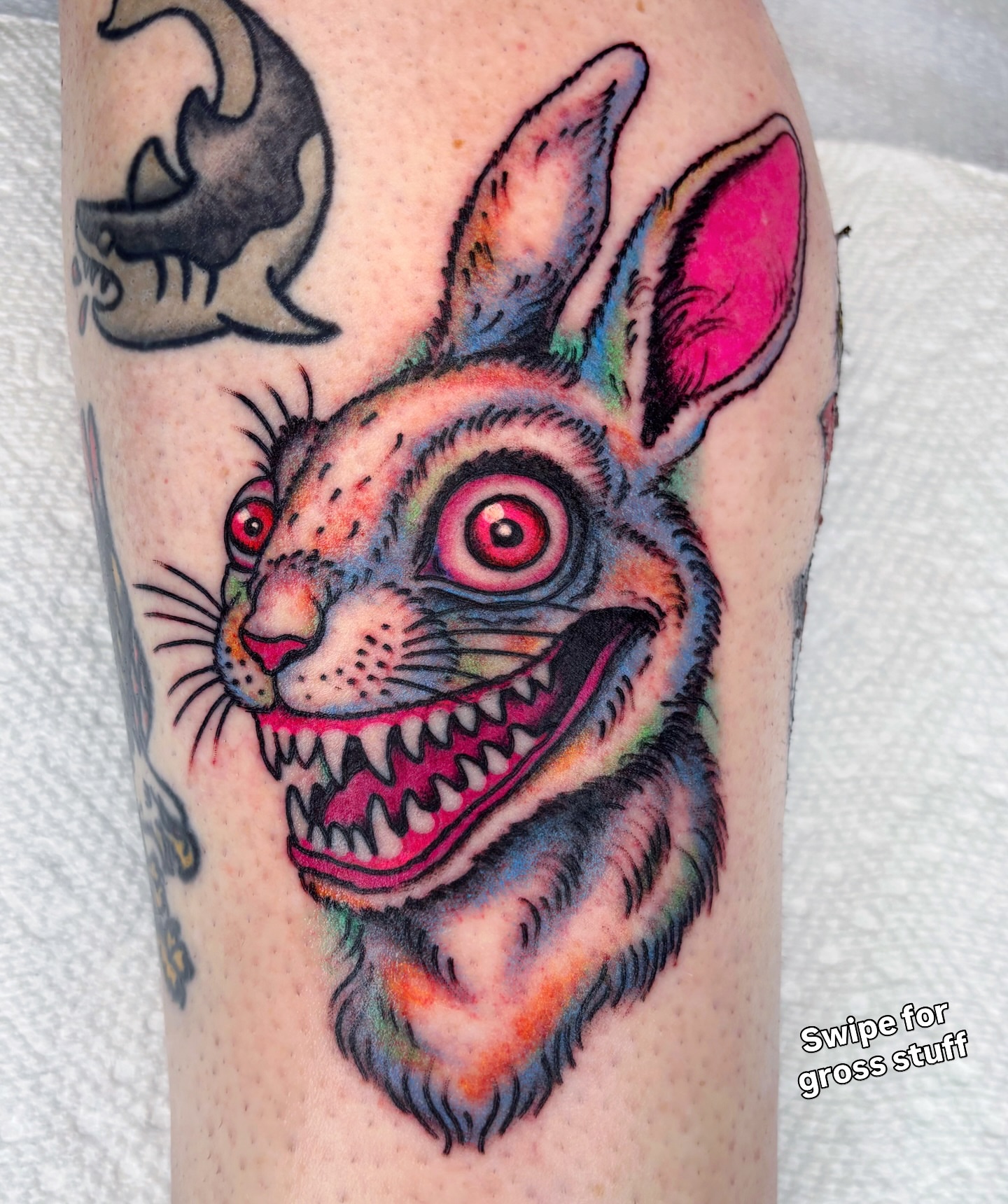 Angry rabbit American traditional tattoo on the forearm by Randy Conner, Portland, Oregon