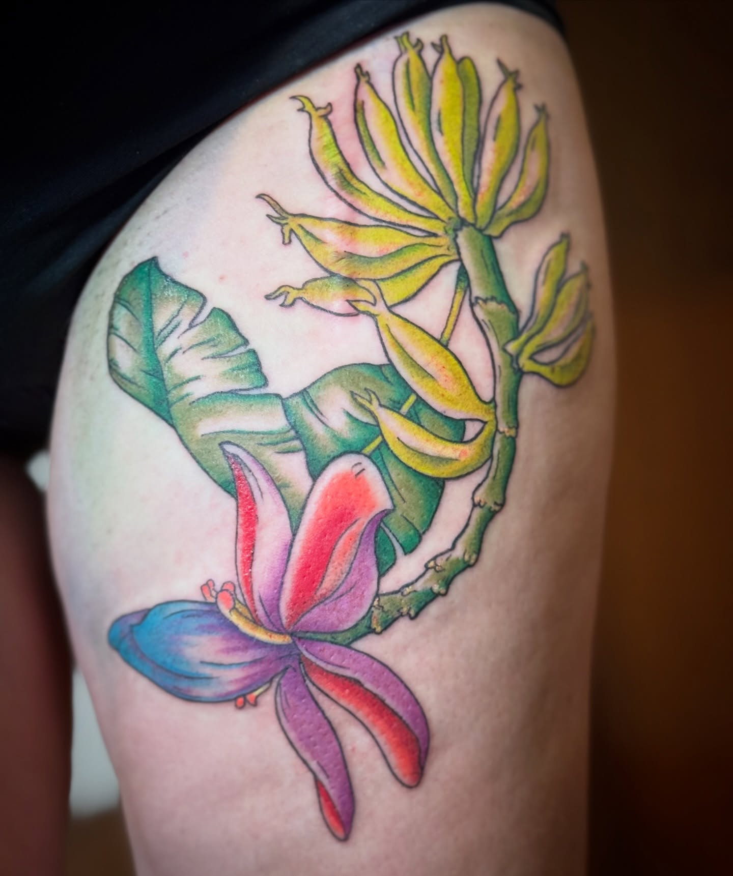 Banana blossom new school tattoo on the thigh by Bronzino Ink - Karen, Asheville, North Carolina