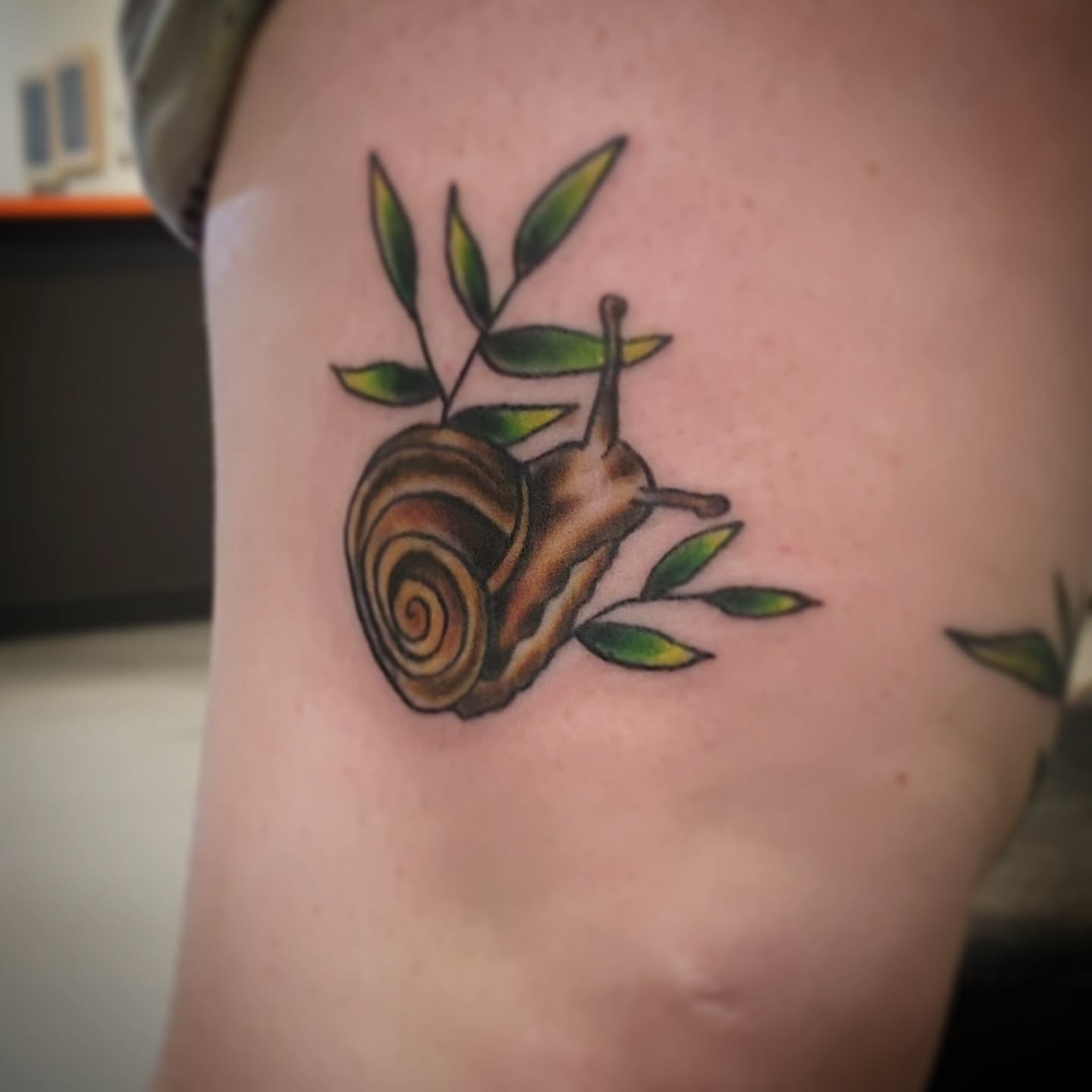 Snail and leaves realism tattoo on the upper arm by Anntonietta Borzacchiello