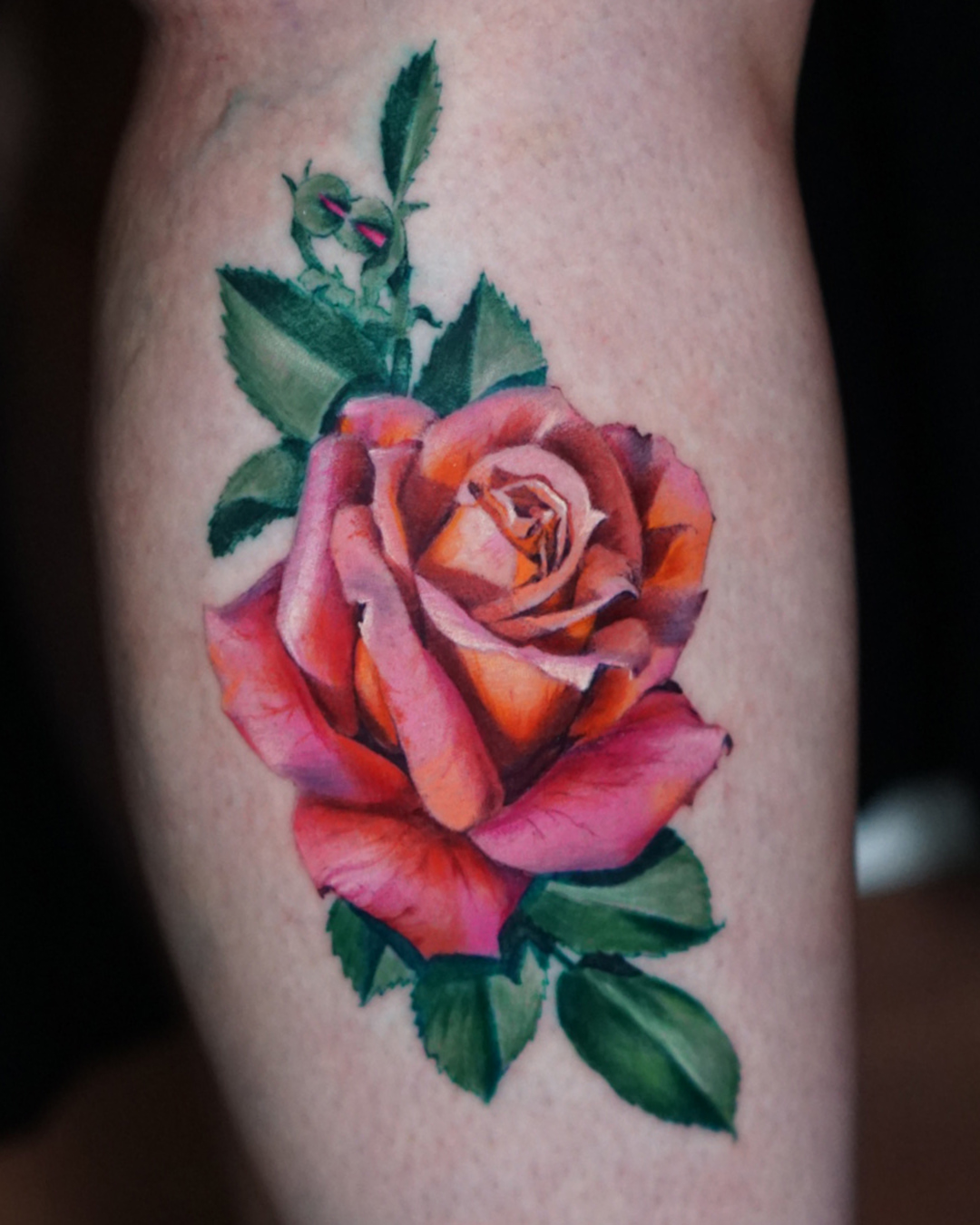 Rose realism tattoo on the forearm by San Diego Color Realism and Neotraditional