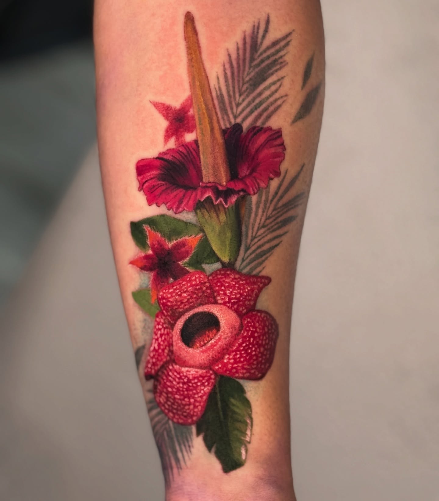 Pitcher plant realism tattoo on the forearm by Jordan