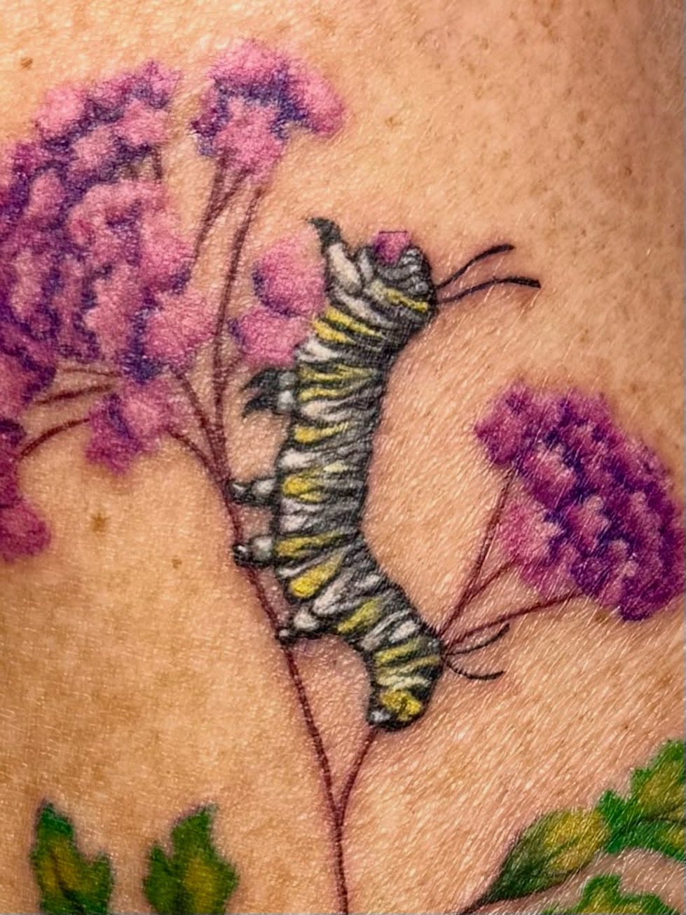 Monarch caterpillar realism tattoo on the forearm by Taylor Kay 🌿