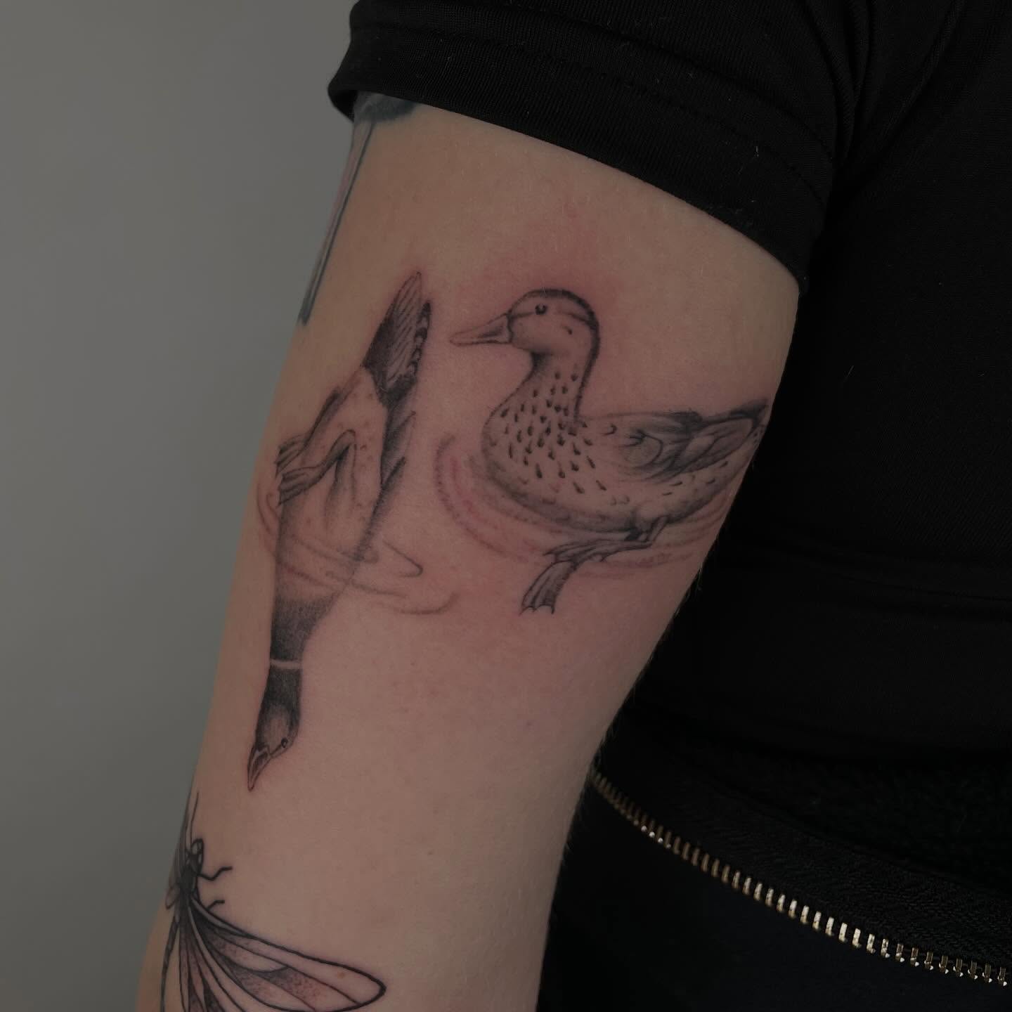 Duck black and grey tattoo on the forearm by Jenna Fraticelli, Monroeville, Pennsylvania