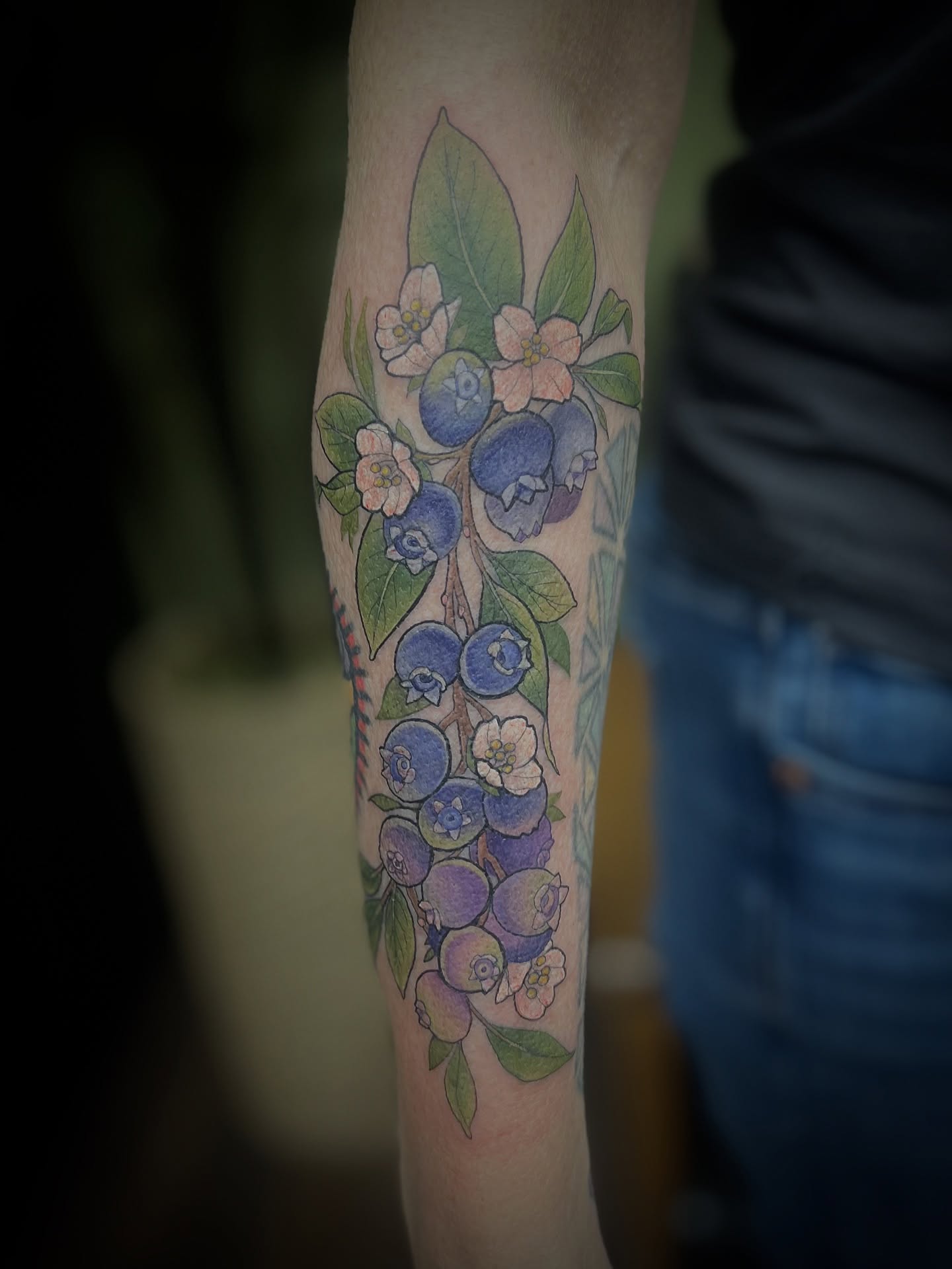 Blueberry bush American traditional tattoo on the forearm by sam cedar geller 🐝
