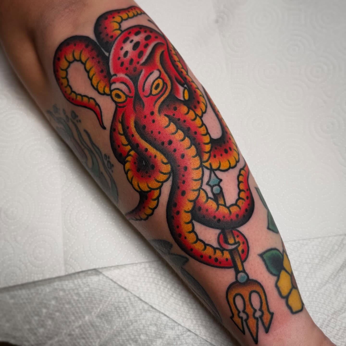 Octopus American traditional tattoo on the forearm by Zach Roman, Madison, Wisconsin