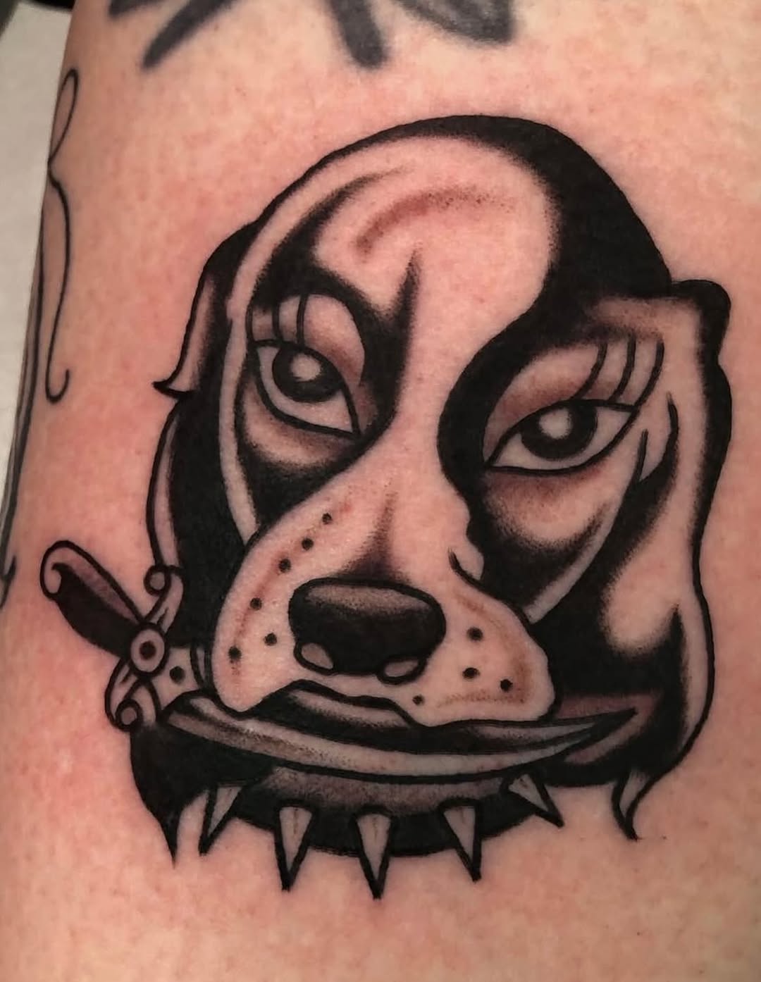 Tattoo by @lost_mutt — american_traditional