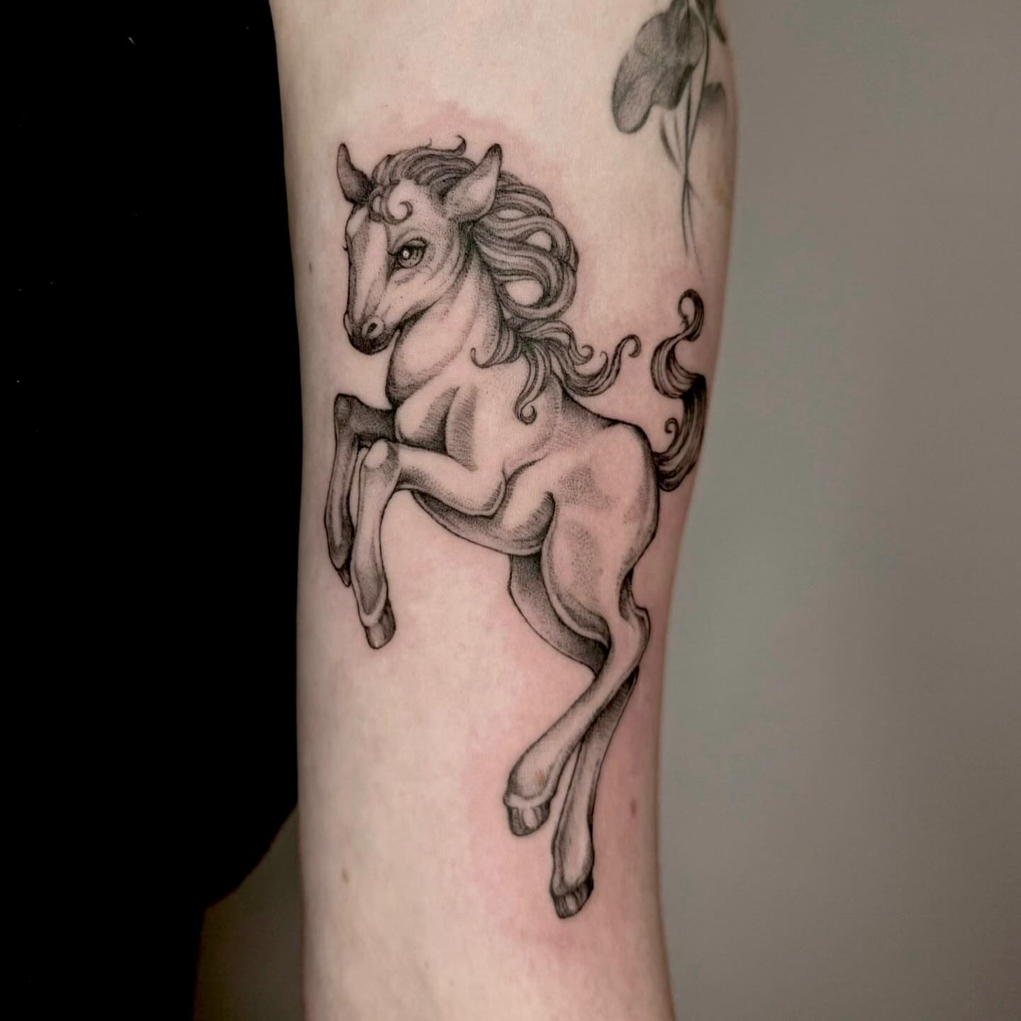 Tattoo by @deadgirlnextdoor — black_and_grey