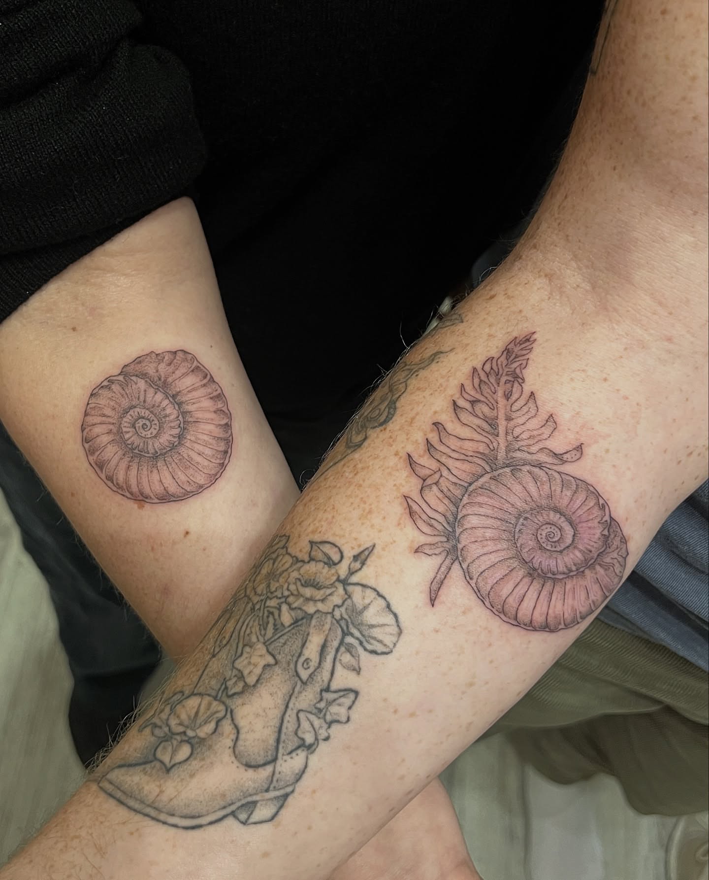Ammonite realism tattoo on the forearm by Kelsi Hooper, Seattle, Washington