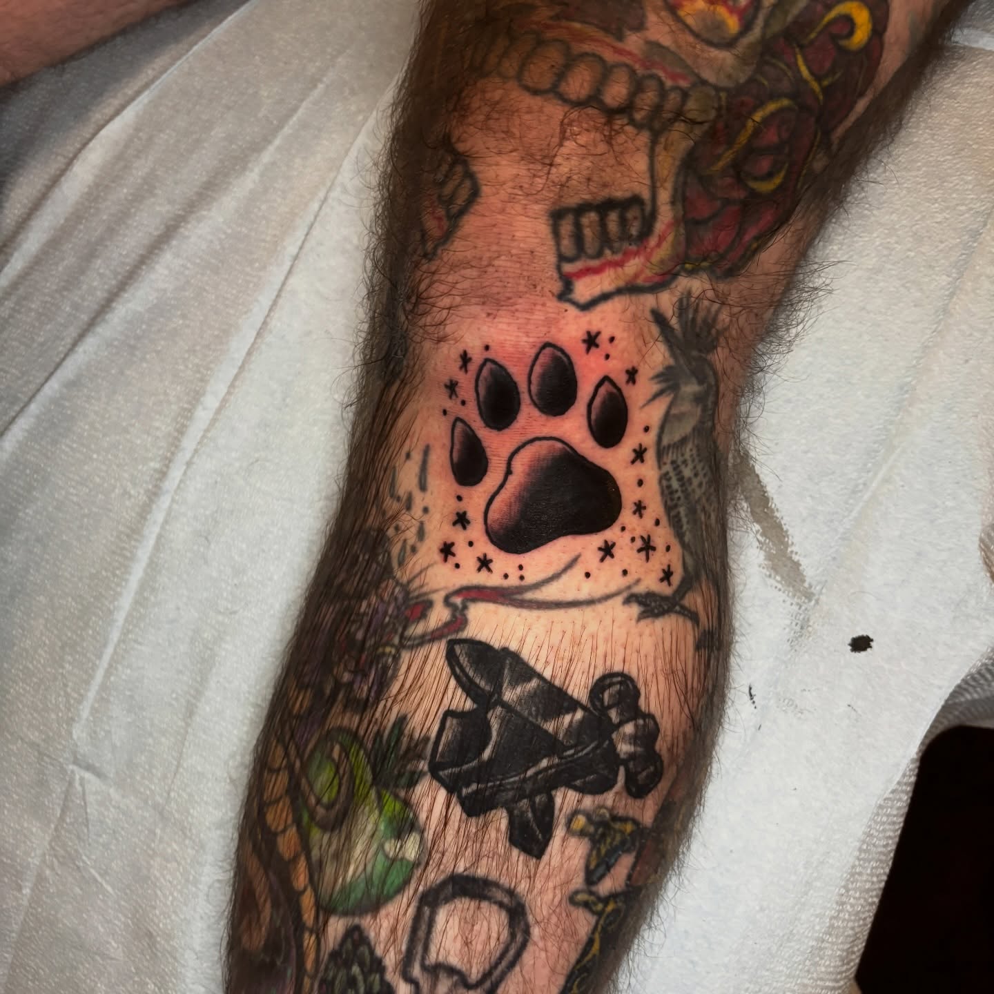 Paw print dotwork tattoo on the forearm by Lilly Evans