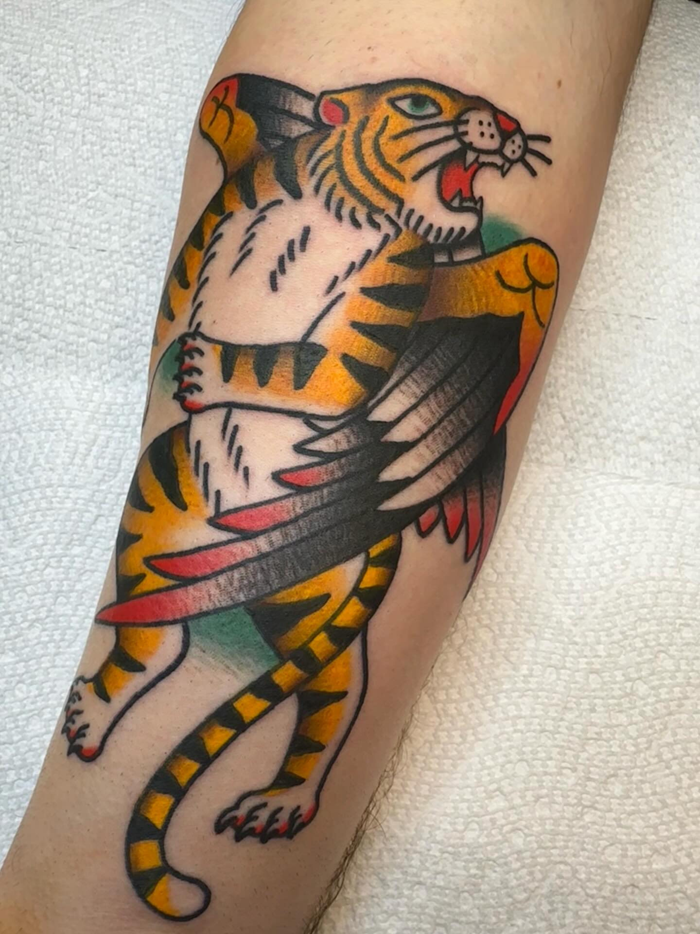 Tiger American traditional tattoo on the forearm by Hannah Jean