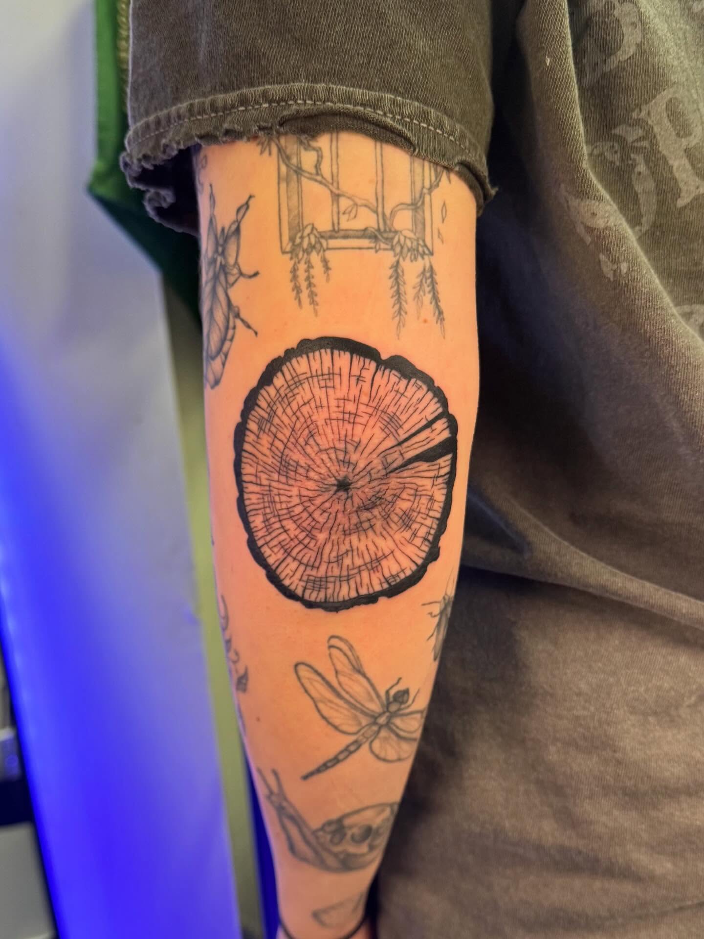 Tree ring black and grey tattoo on the forearm by haylie