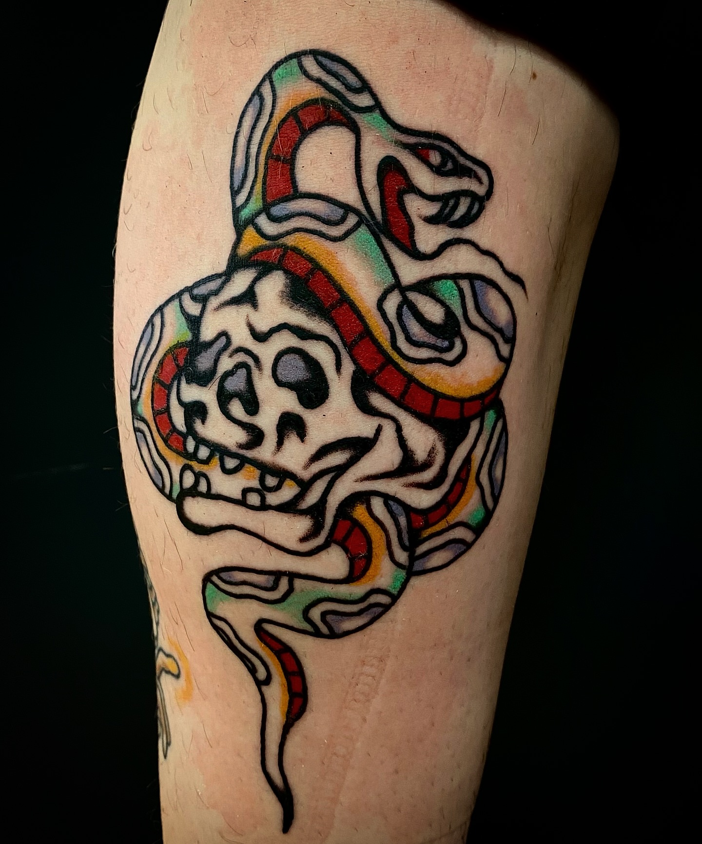 Snake and skull American traditional tattoo on the forearm by Joey Delarosa, San Francisco, California