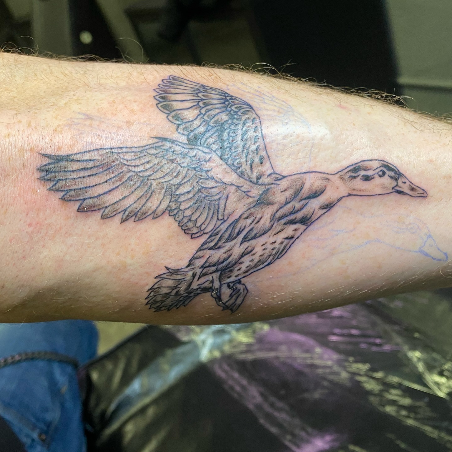 Duck black and grey tattoo on the forearm by Mack ๐ Utah Tattoos