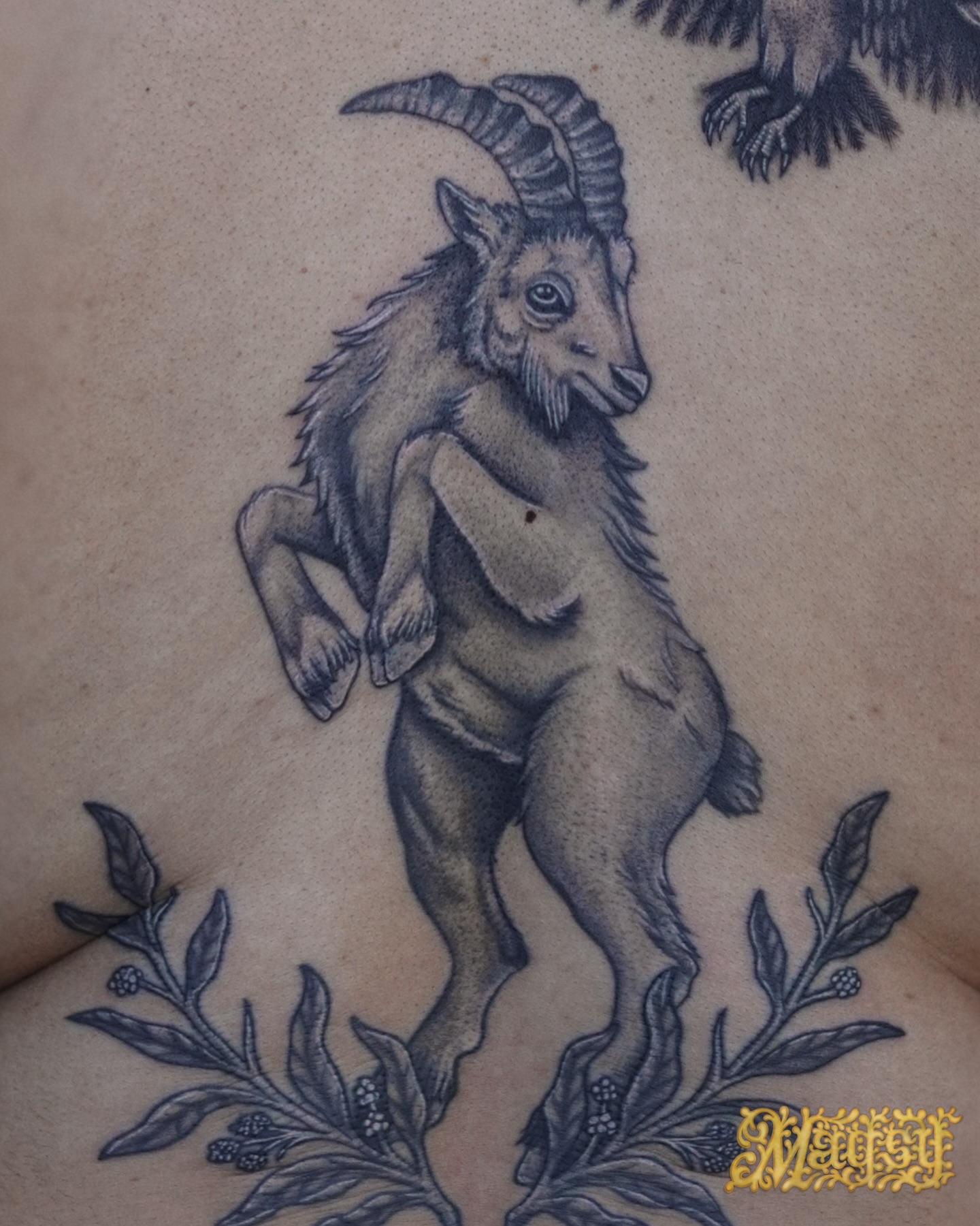 Goat with foliage black and grey tattoo on the chest by Magsy, Orange, California