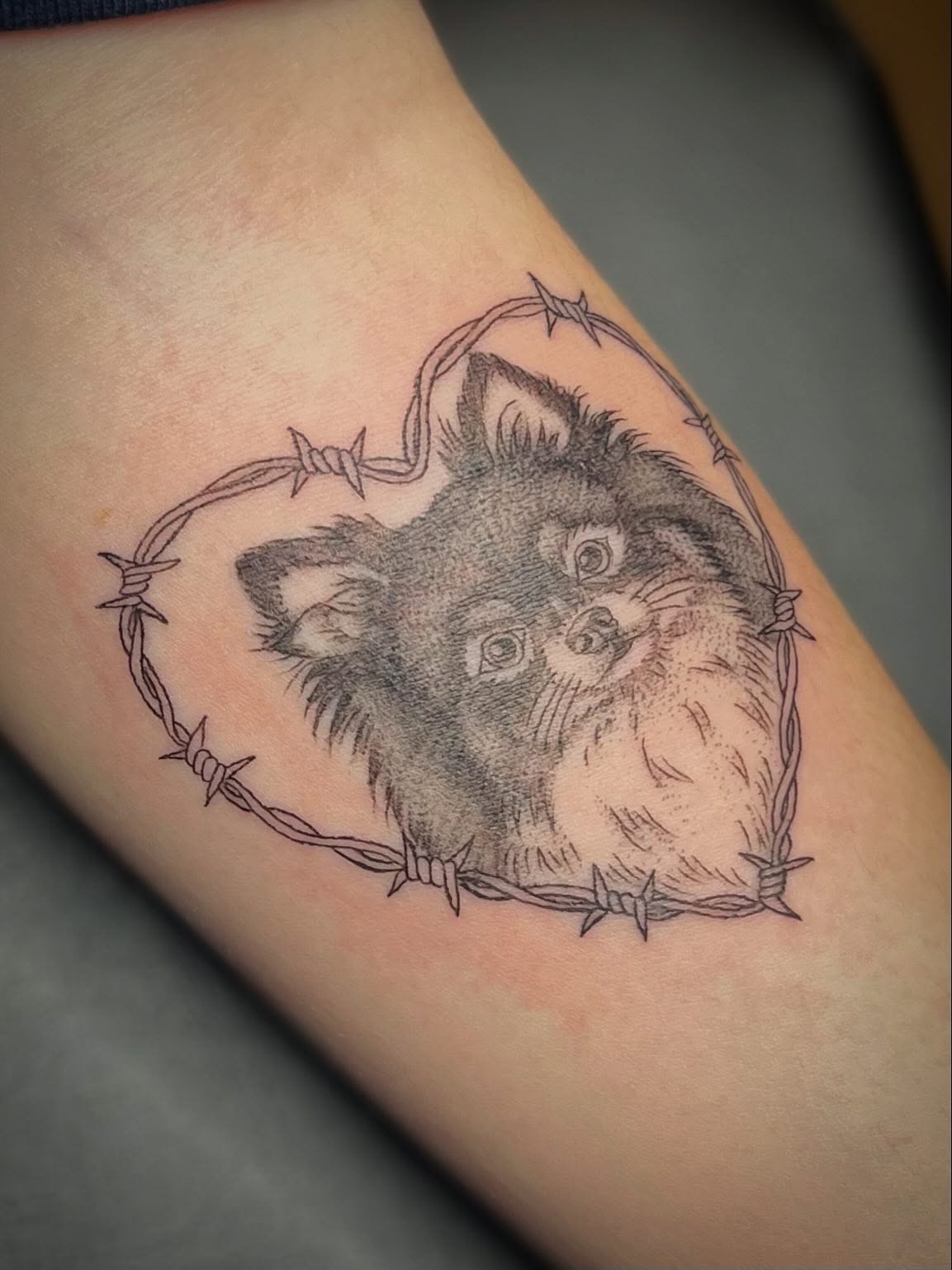Cat realism tattoo on the forearm by zoe? tattoo artist¿