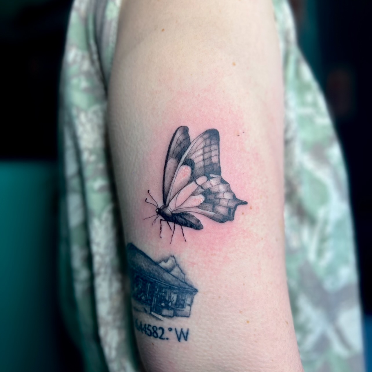 Butterfly realism tattoo on the forearm by Sydney Rose
