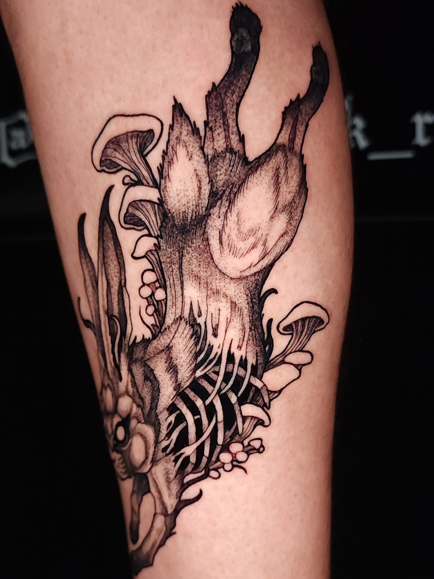 Mushroom realism tattoo on the forearm by Mario Romero