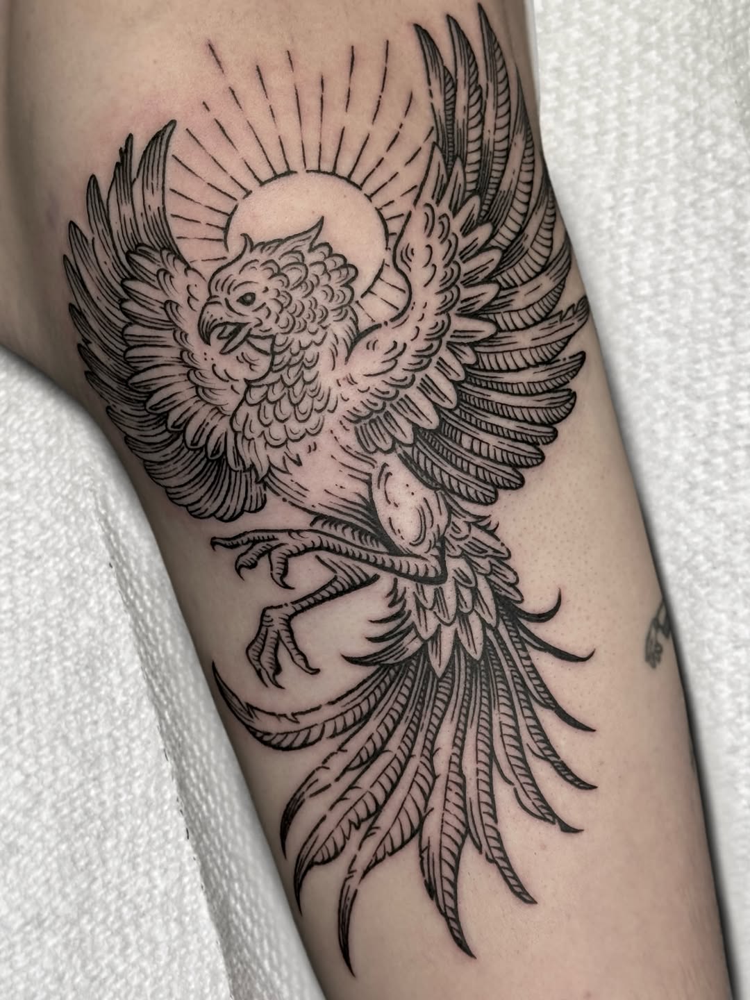Tattoo by @darkhatchings — black_and_grey, illustrative