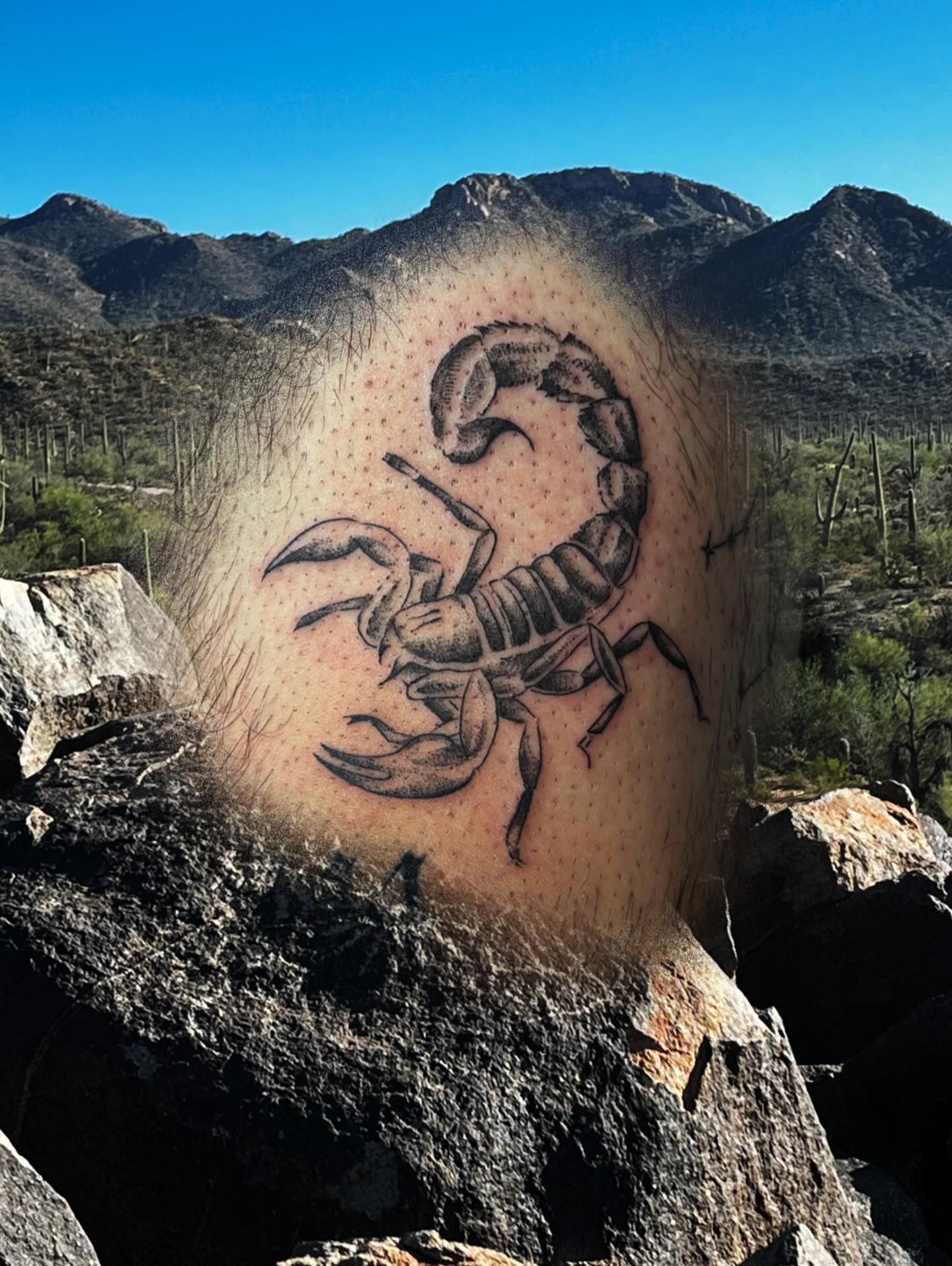 Tattoo by @bloodnfate — dotwork, realism