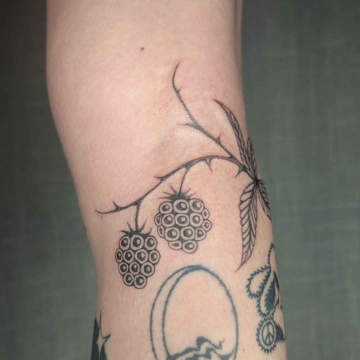 Raspberry plant dotwork tattoo on the forearm by theo, Portland, Oregon