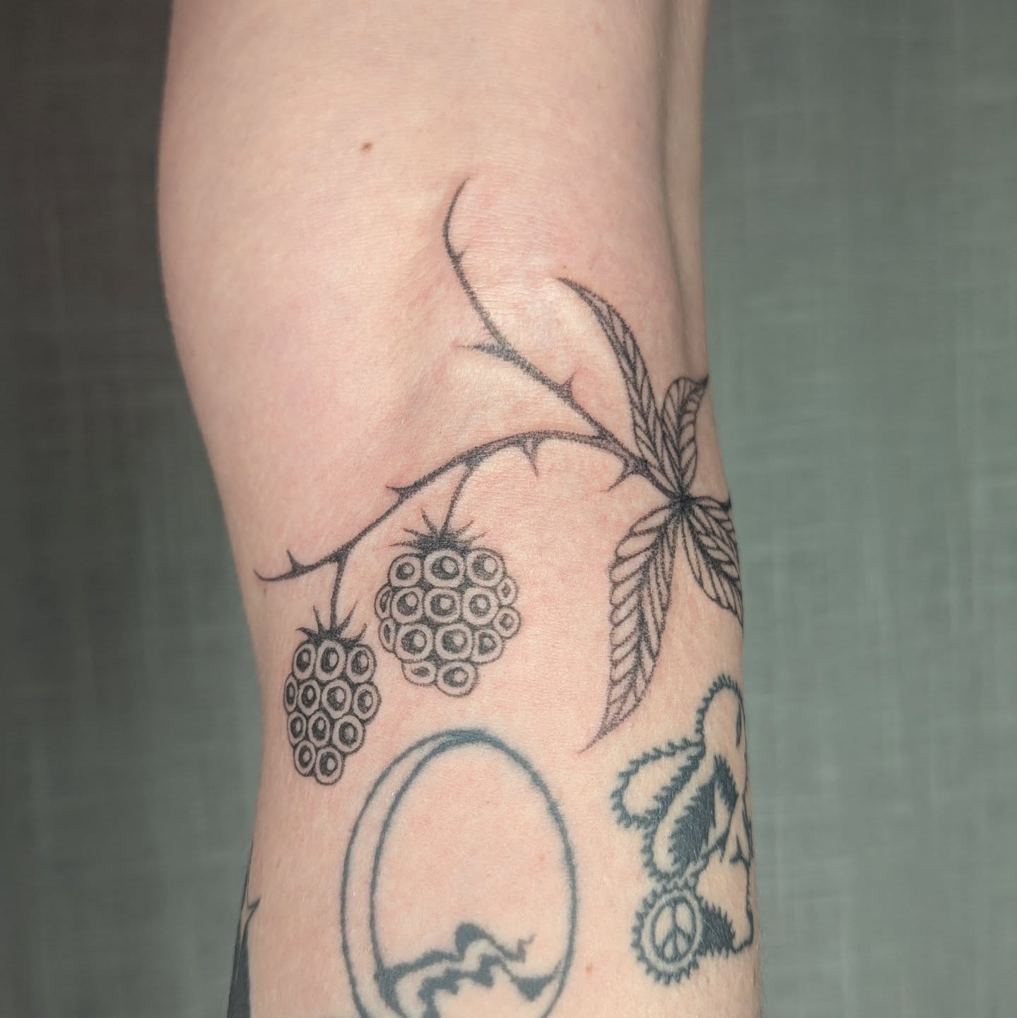 Berry branch black and grey tattoo on the forearm by theo, Portland, Oregon