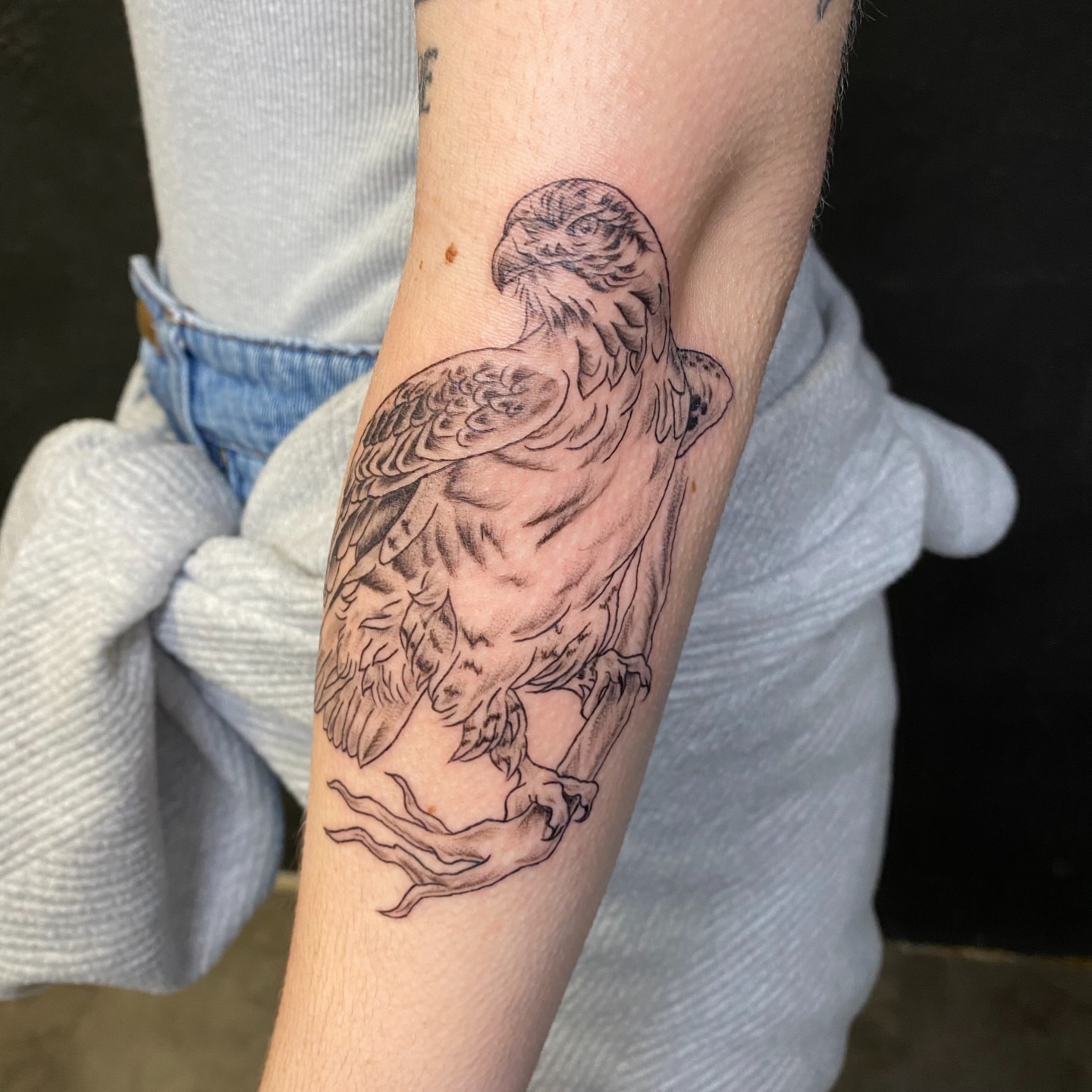 Hawk black and grey tattoo on the forearm by Mack ๐ Utah Tattoos