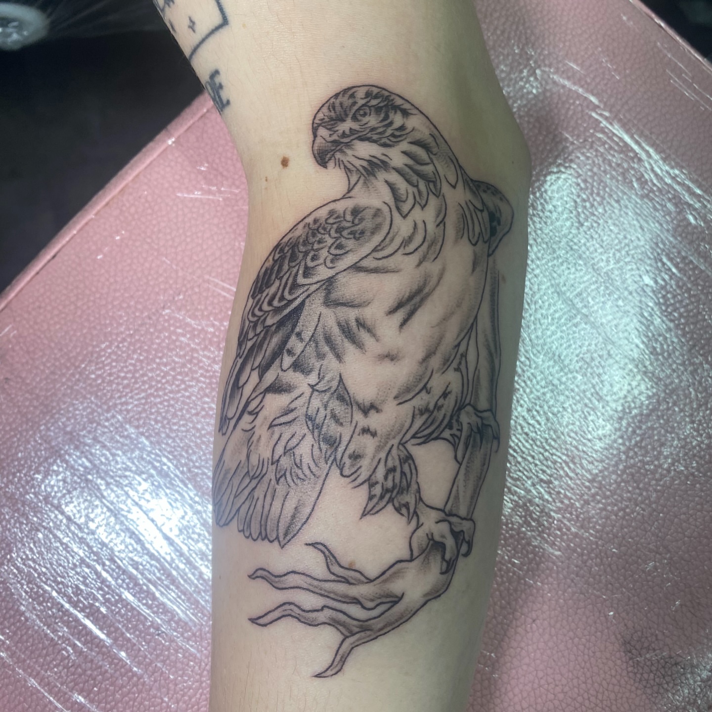 Hawk black and grey tattoo on the forearm by Mack ๐ Utah Tattoos