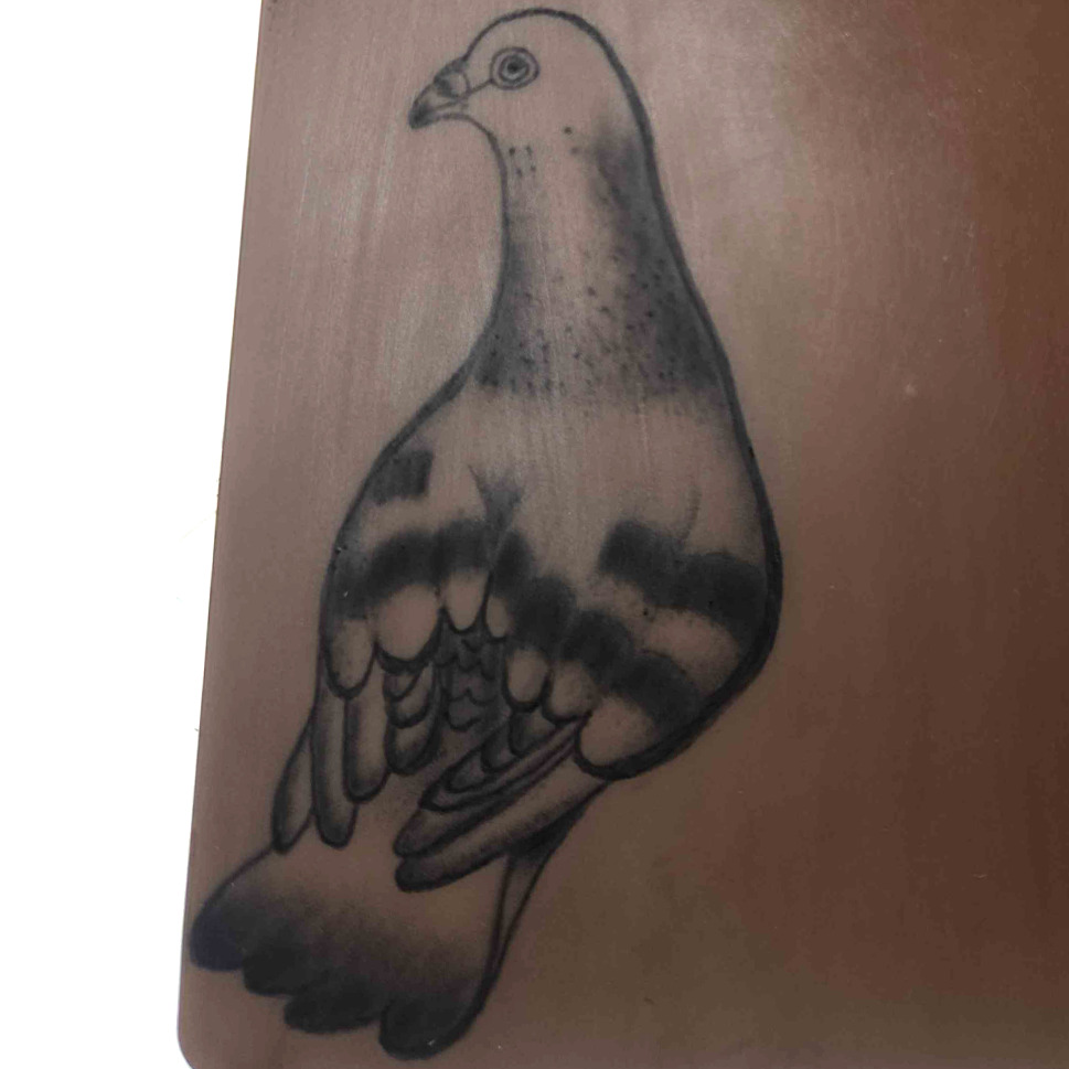 Pigeon tattoo on the forearm by π«