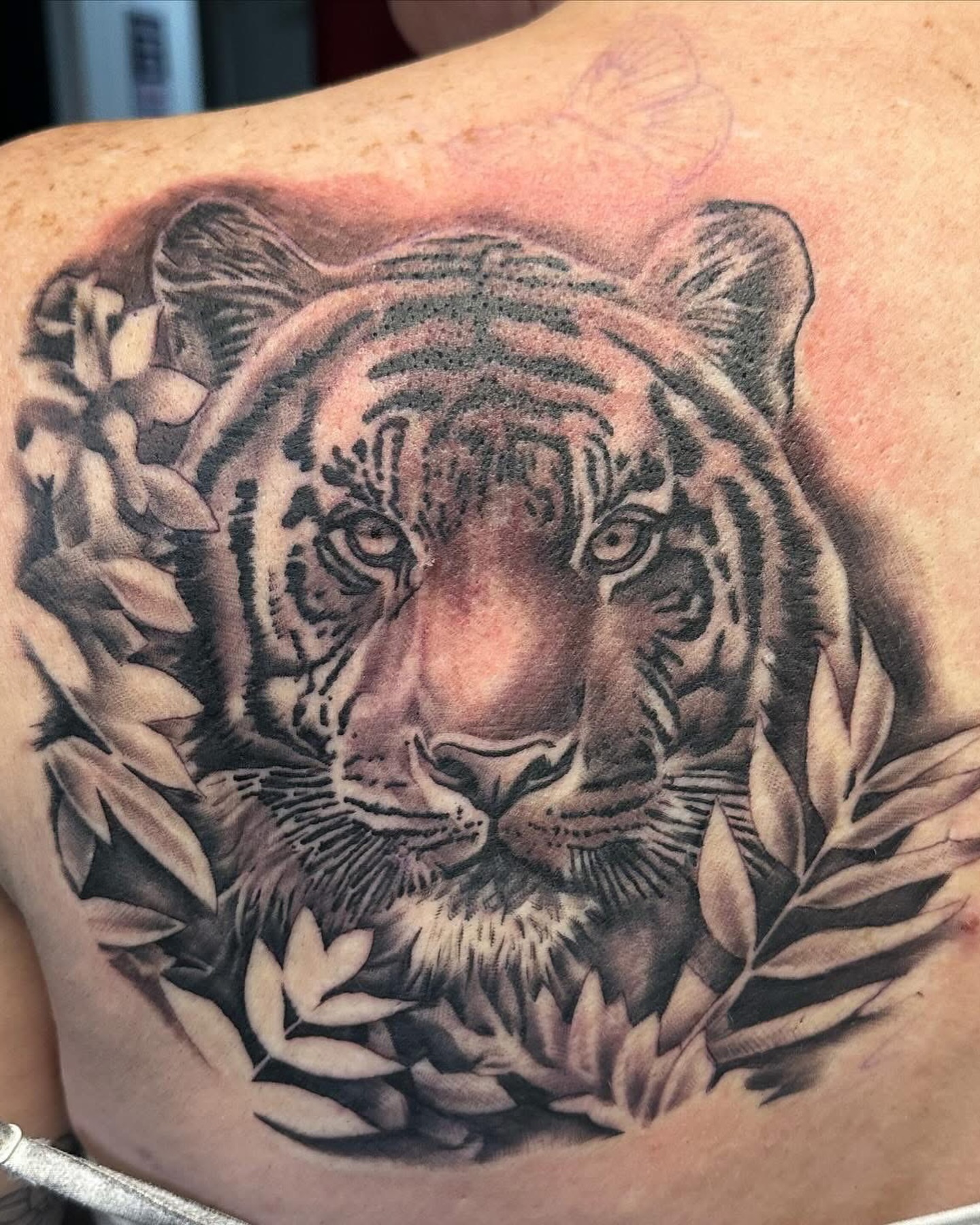 Tiger realism tattoo on the back by Isaac Ortiz-Riendeau